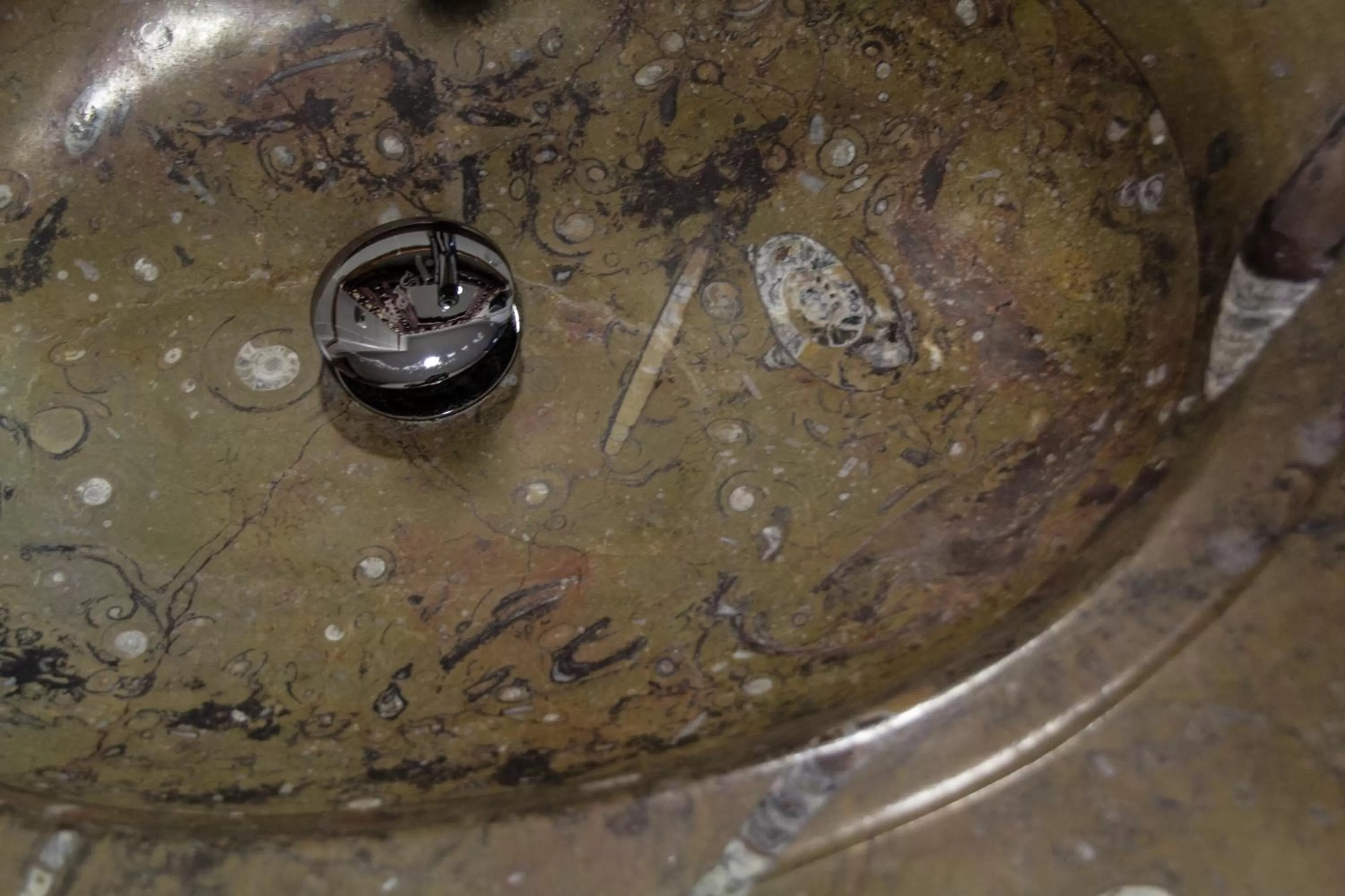 Other, Food in Hotel Plaza