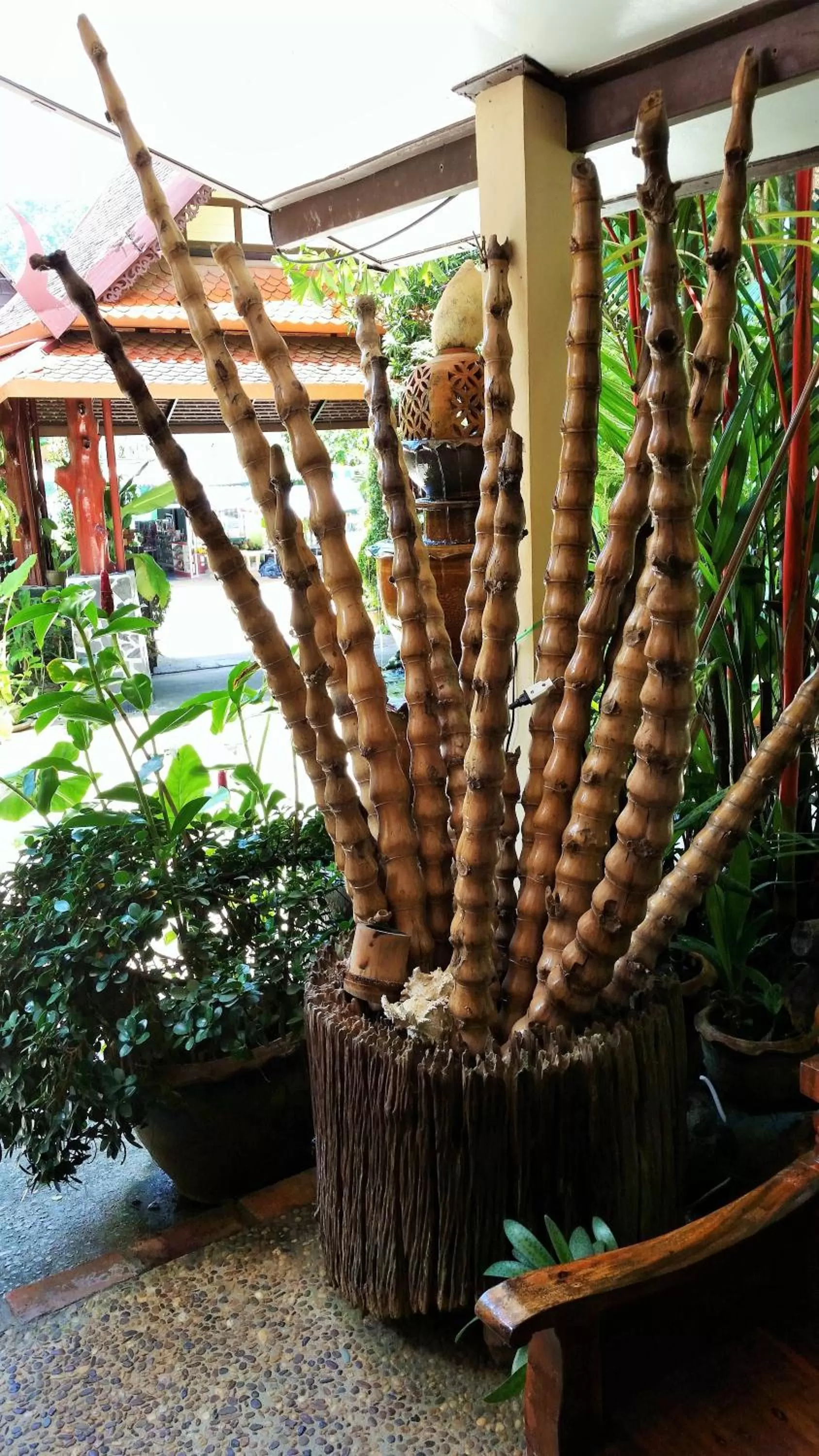 Lobby or reception in Khao Sok Las Orquideas Resort