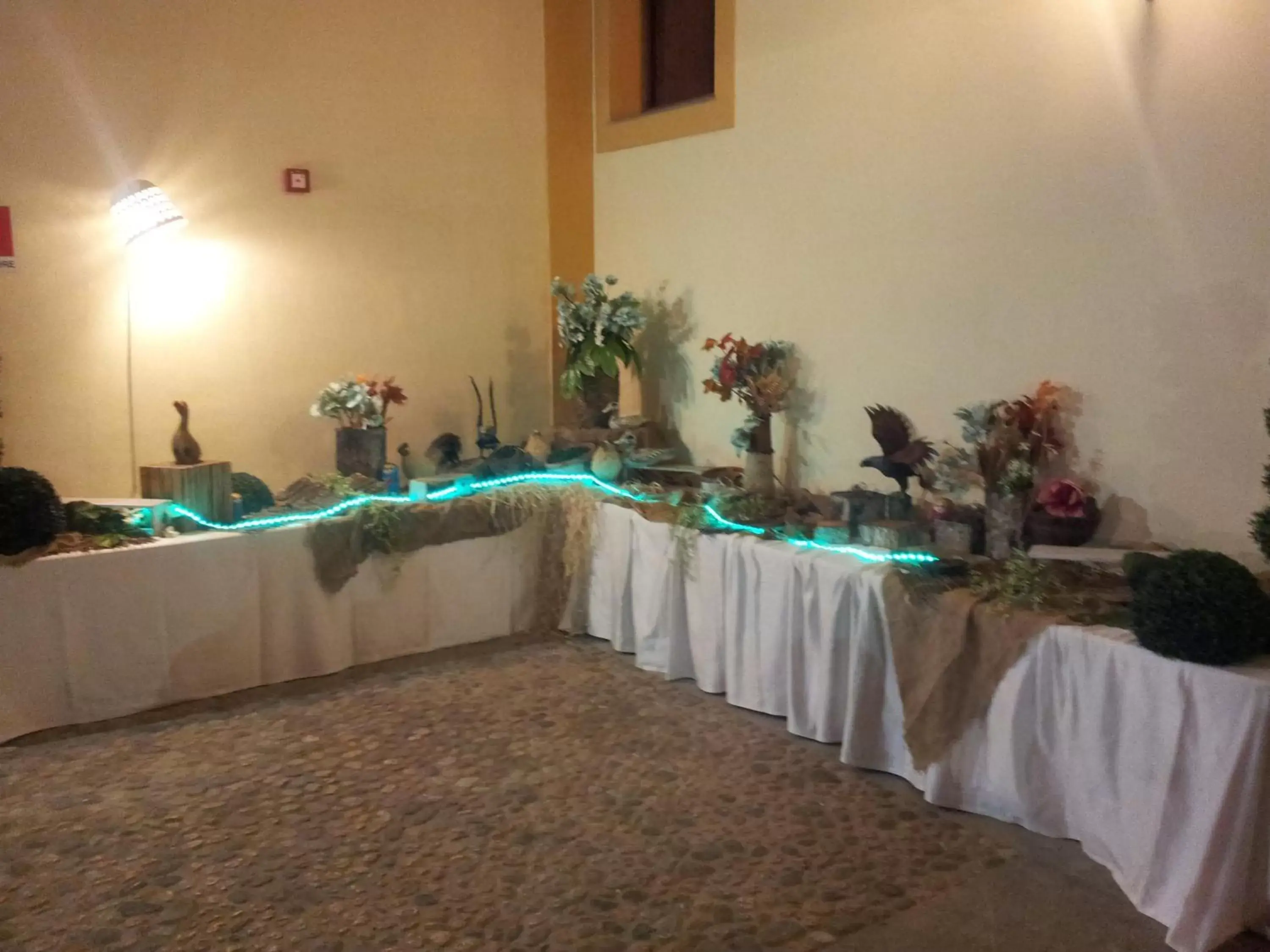 Business facilities, Banquet Facilities in Hotel Villa Lampedusa