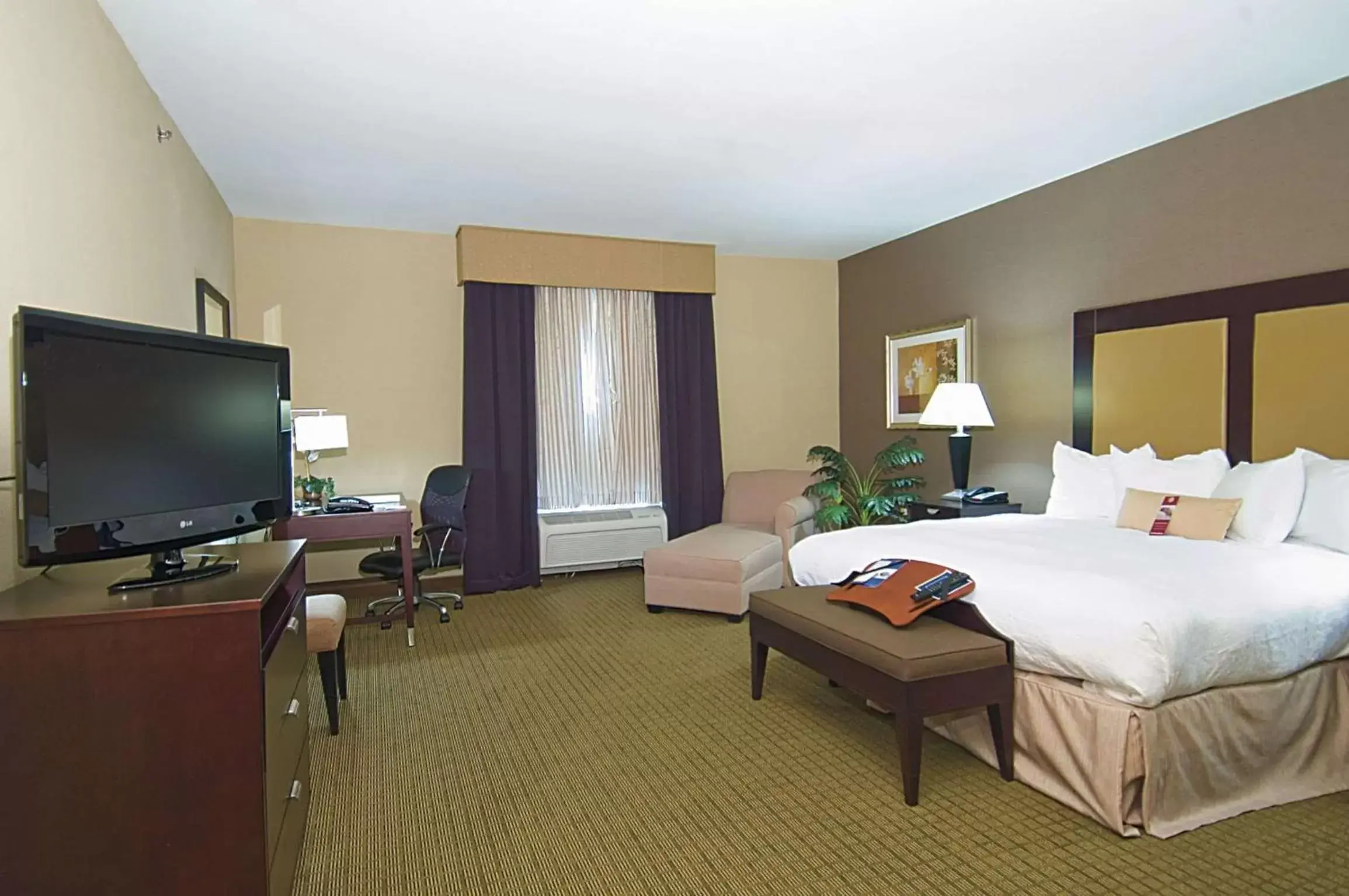 Bed, TV/Entertainment Center in Hampton Inn & Suites Decatur