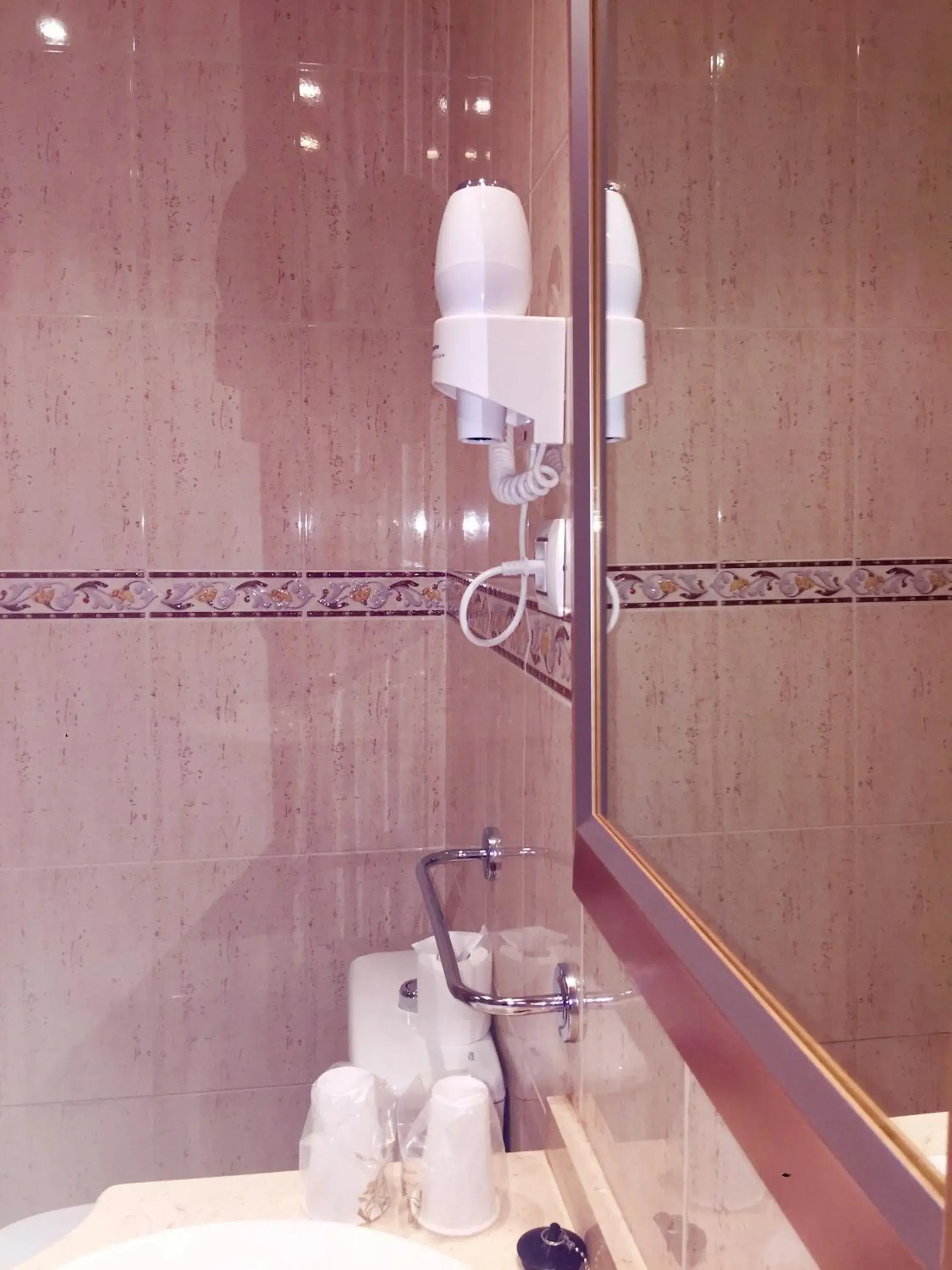 Decorative detail, Bathroom in Hotel Godofredo