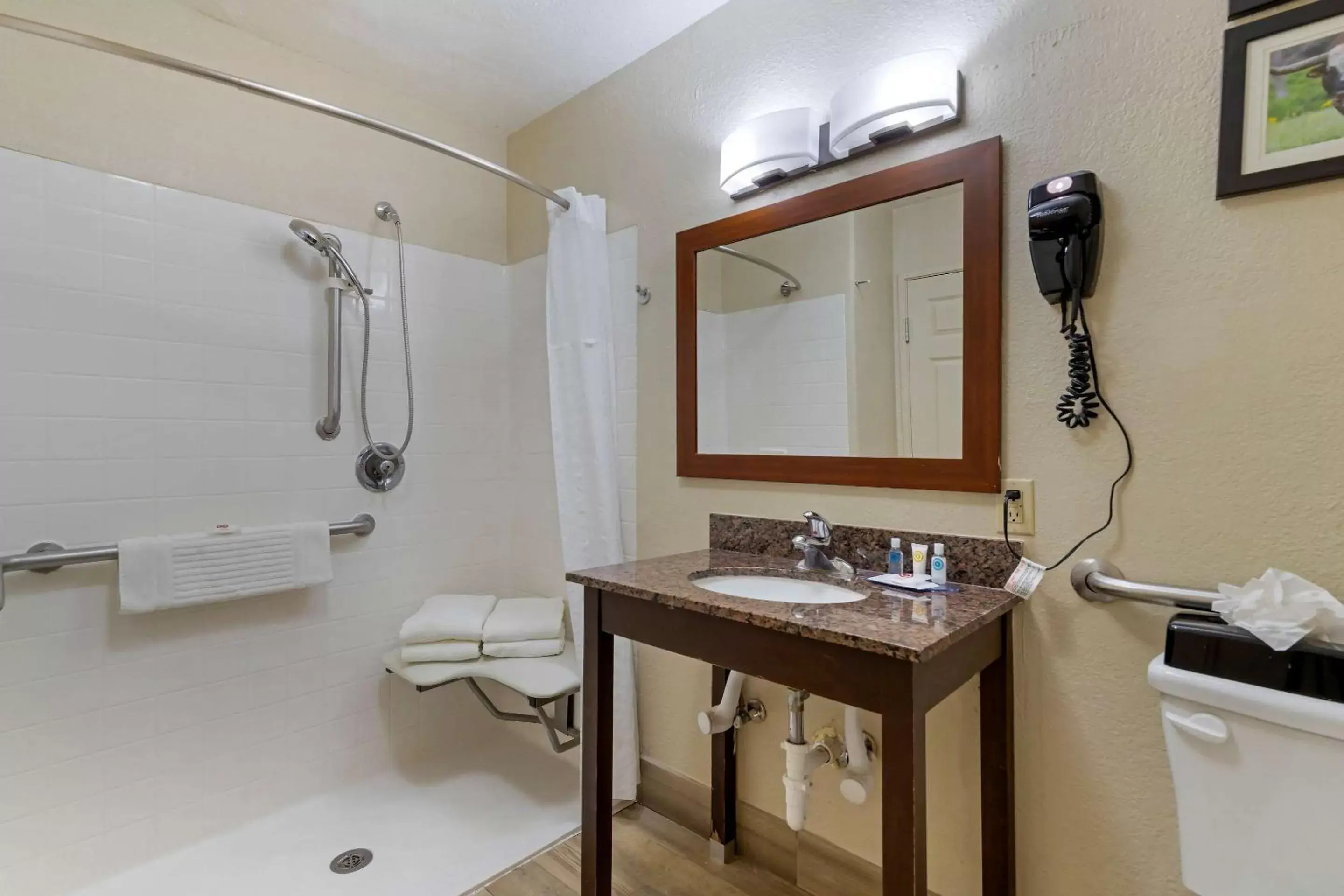 Bathroom in Comfort Inn & Suites Near Six Flags & Medical Center