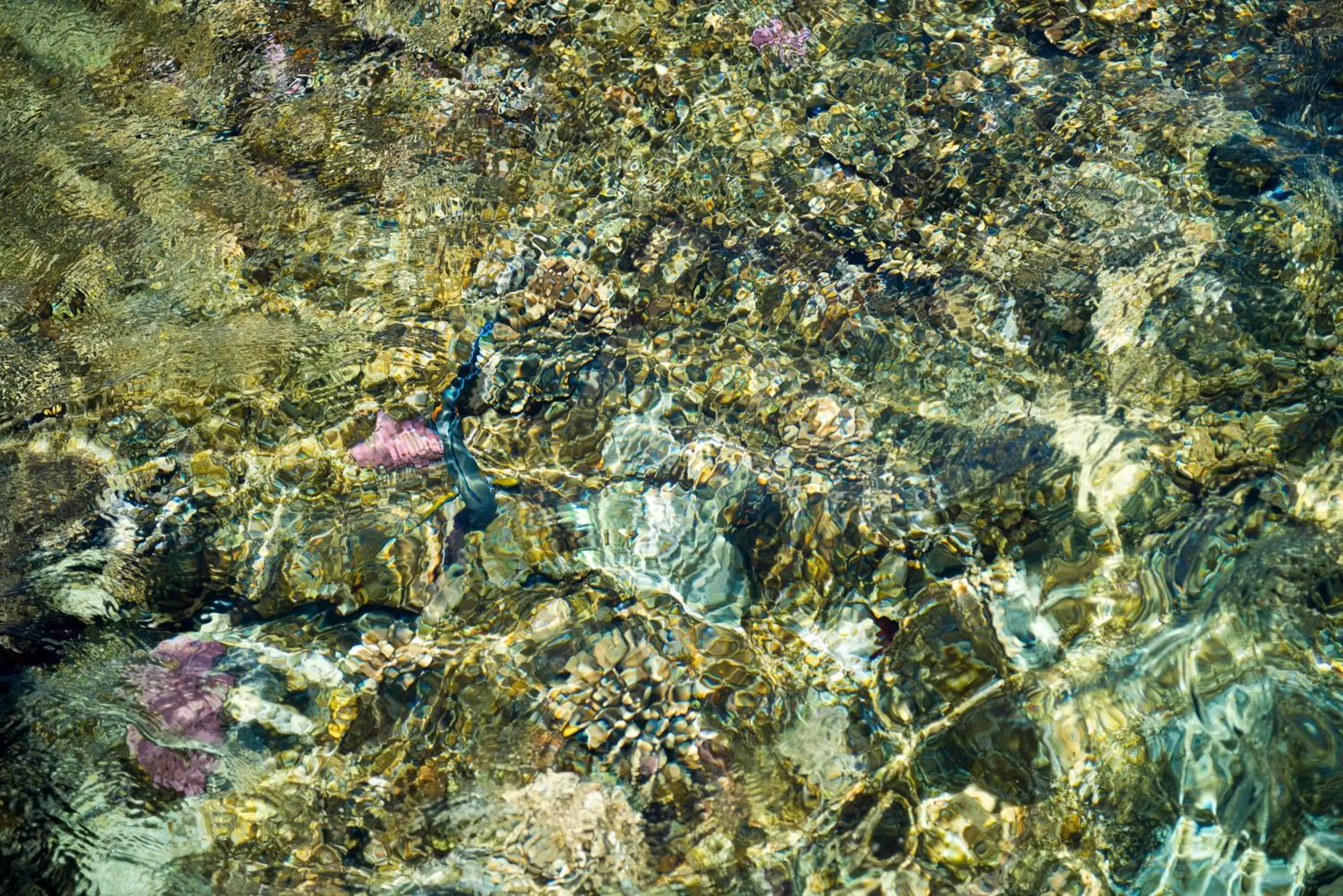 Natural landscape, Bird's-eye View in Amphoras Beach