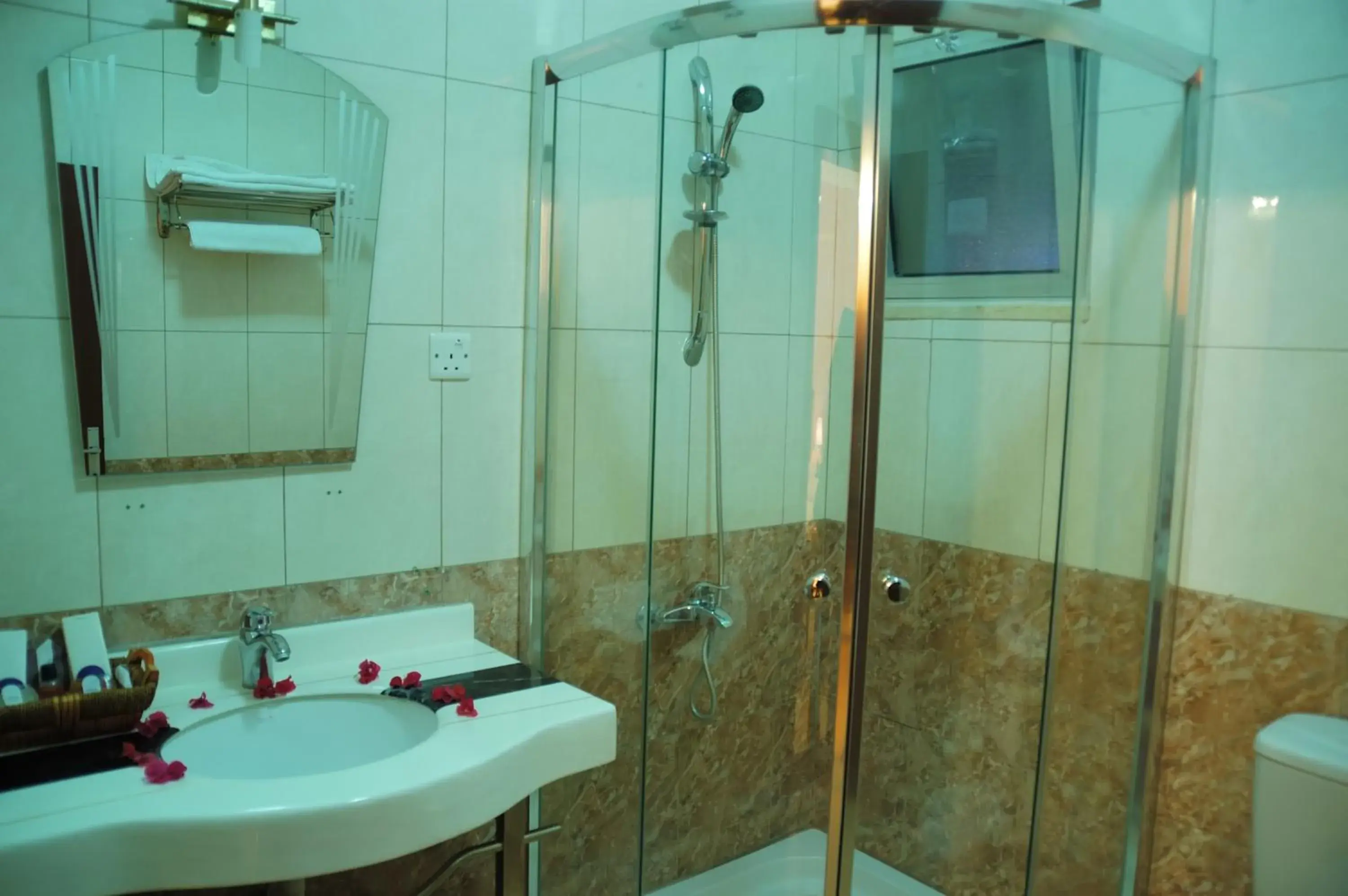 Bathroom in Al Qidra Hotel & Suites Aqaba