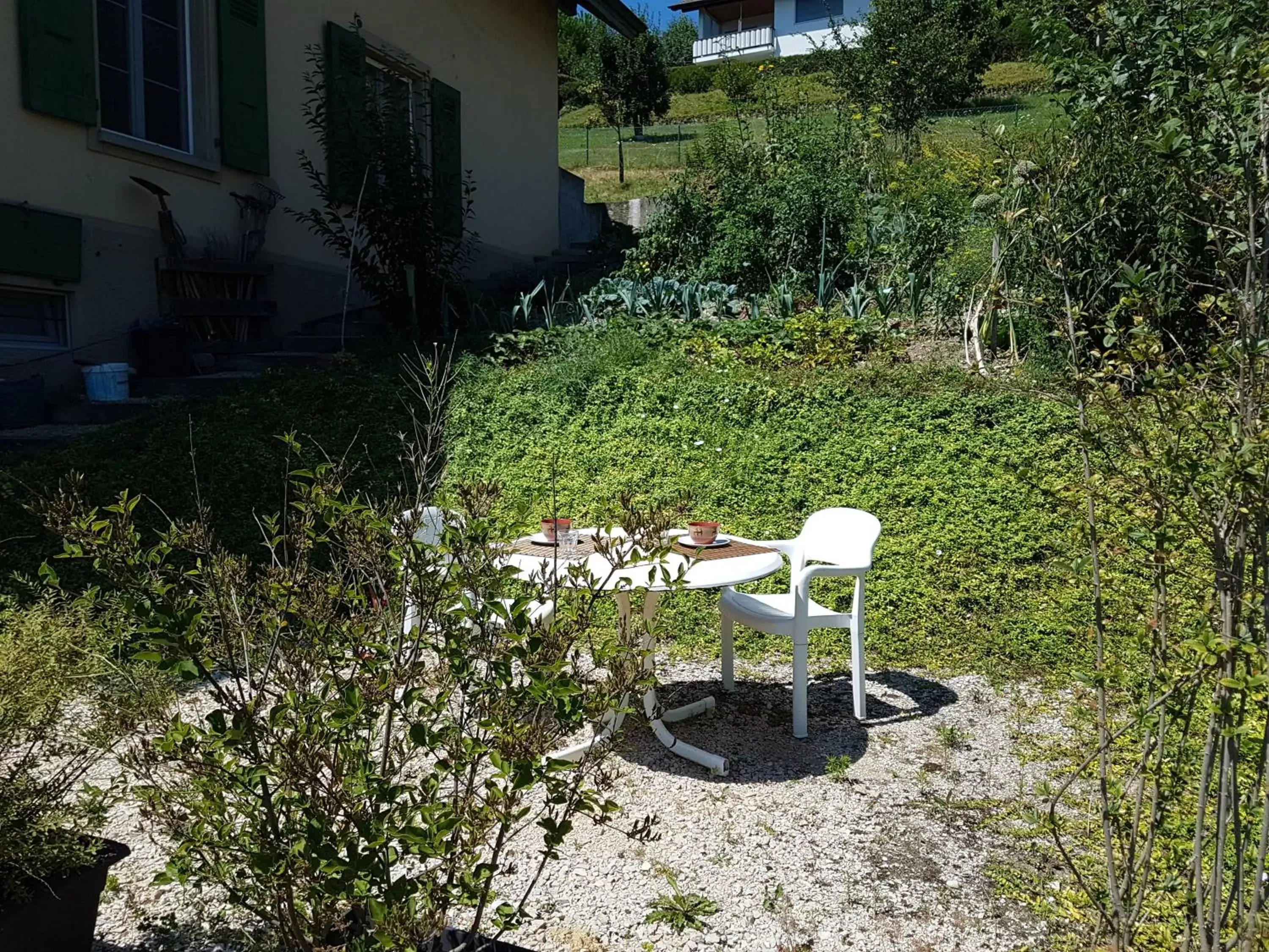 Patio, Garden in BNB Tuileries