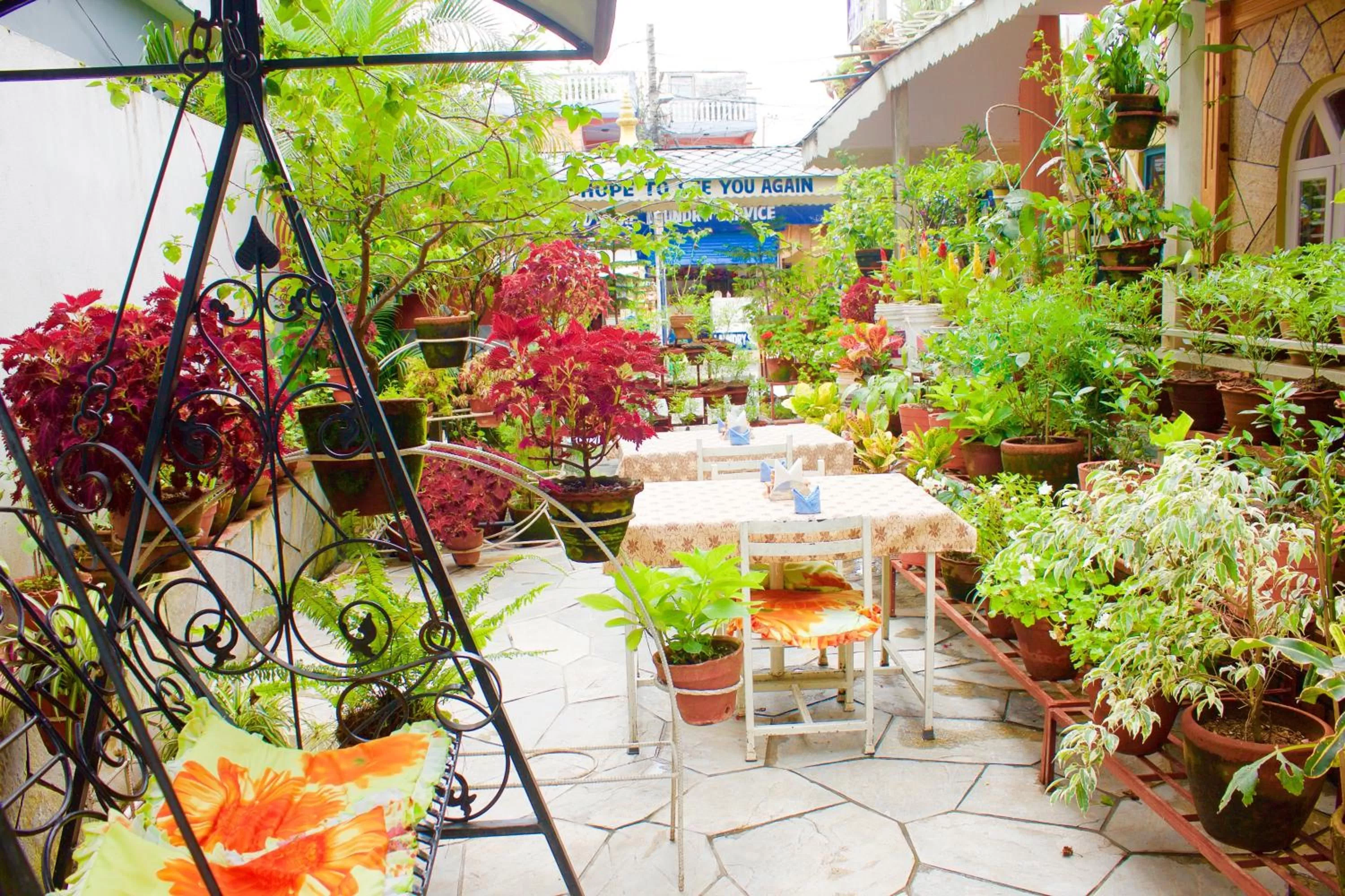 Garden in Hotel Himalayan Inn