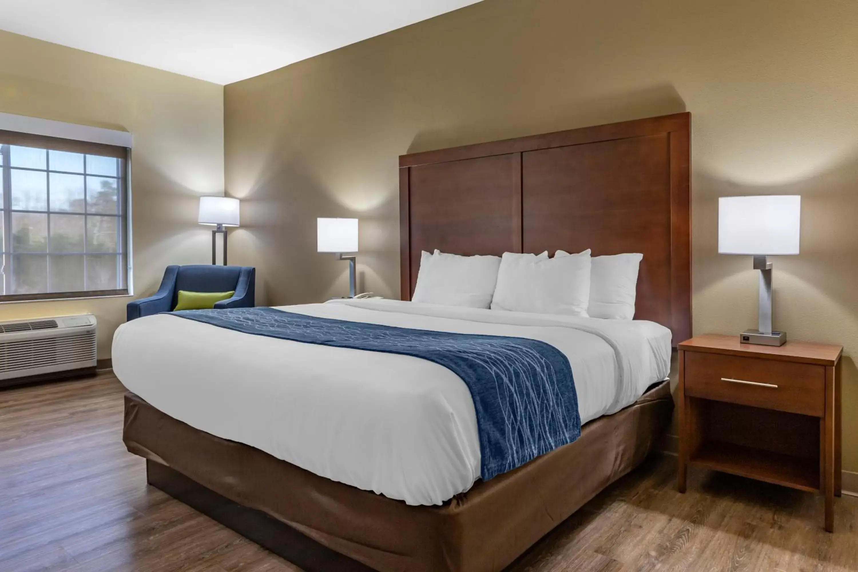 Standard King Room - Non-Smoking  in Comfort Inn & Suites High Point - Archdale