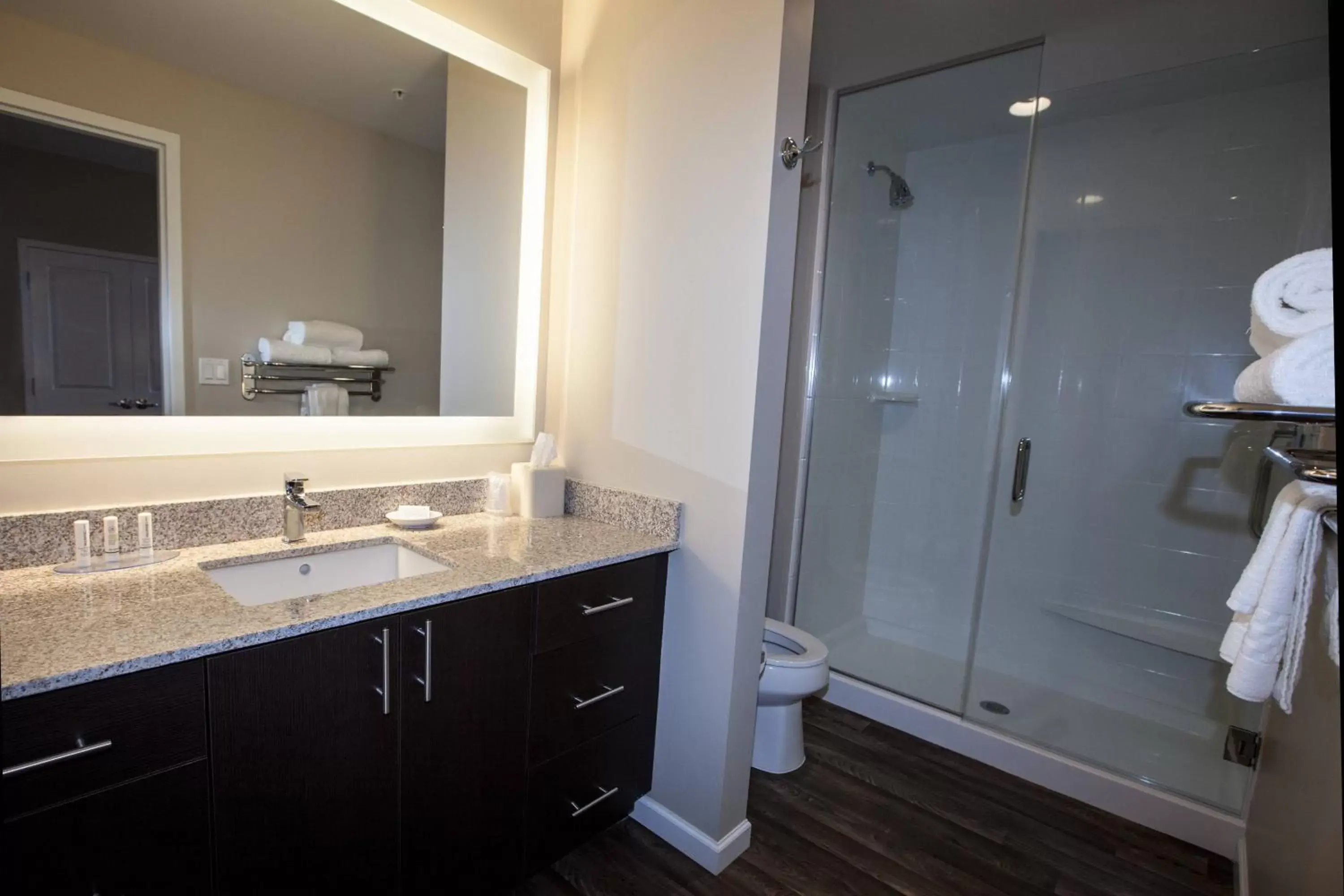 Bathroom in TownePlace Suites by Marriott Boynton Beach