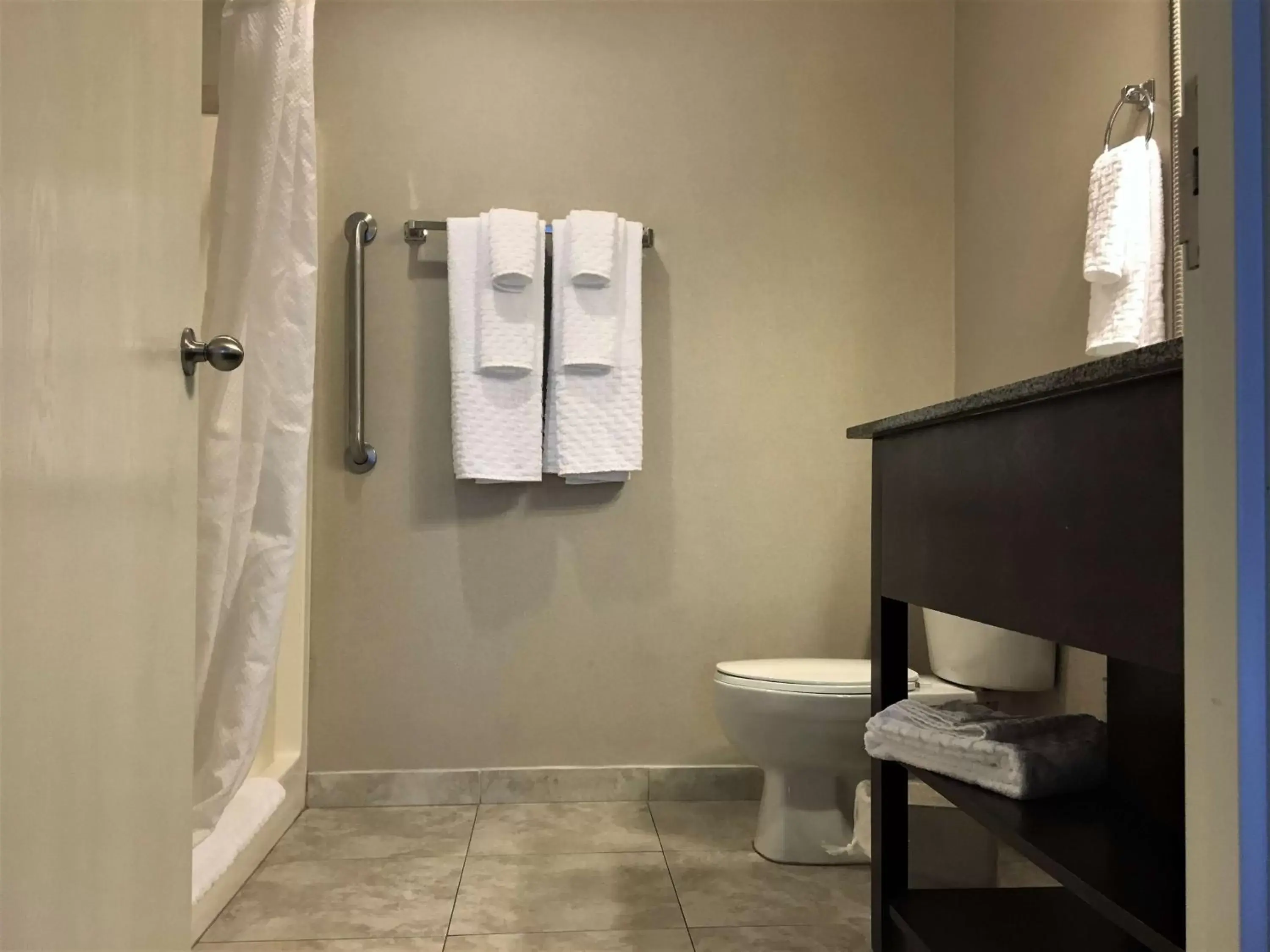 Bathroom in Best Western Plus Valdosta Hotel & Suites