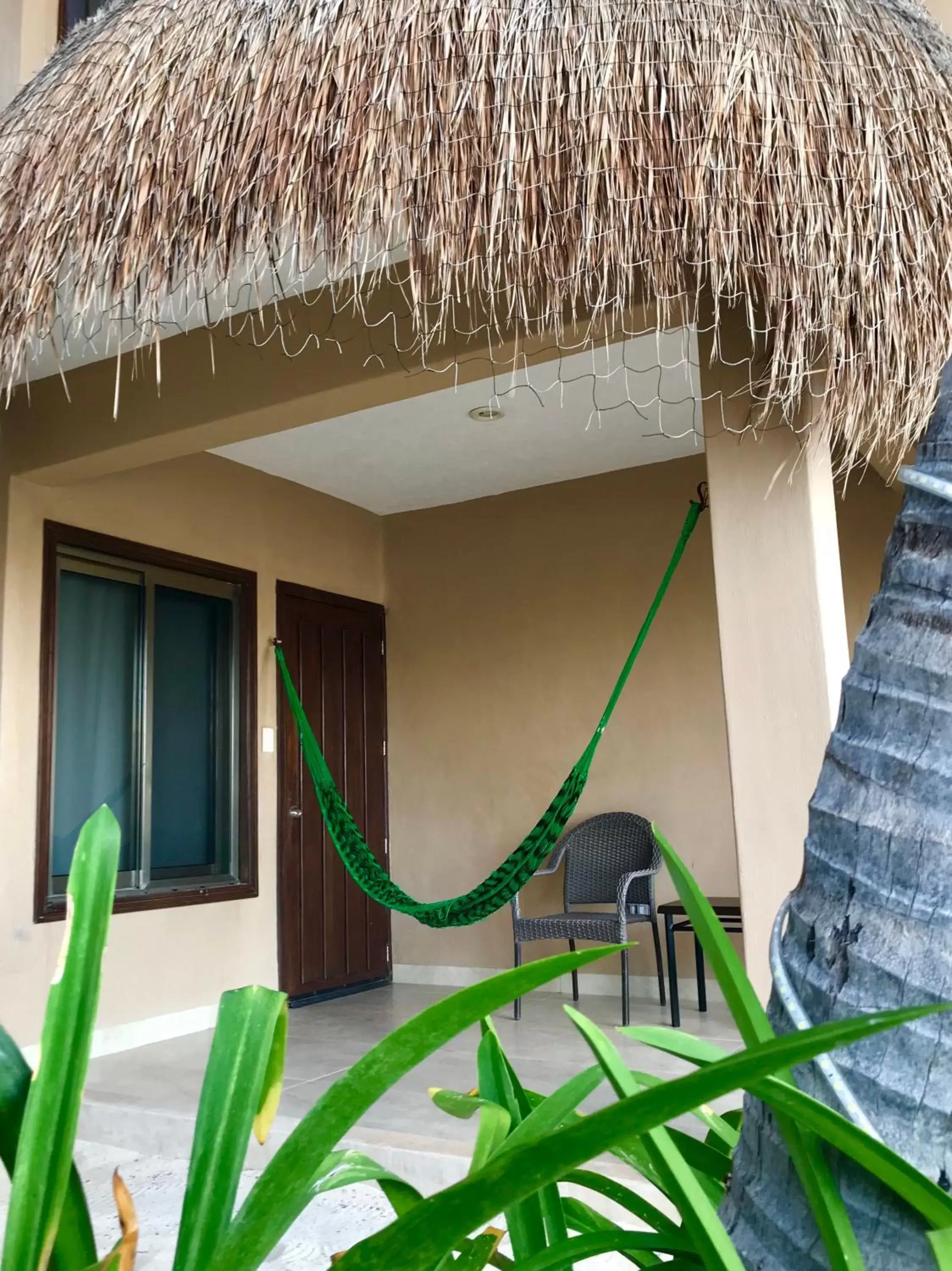 Patio in Hotel Playa La Media Luna