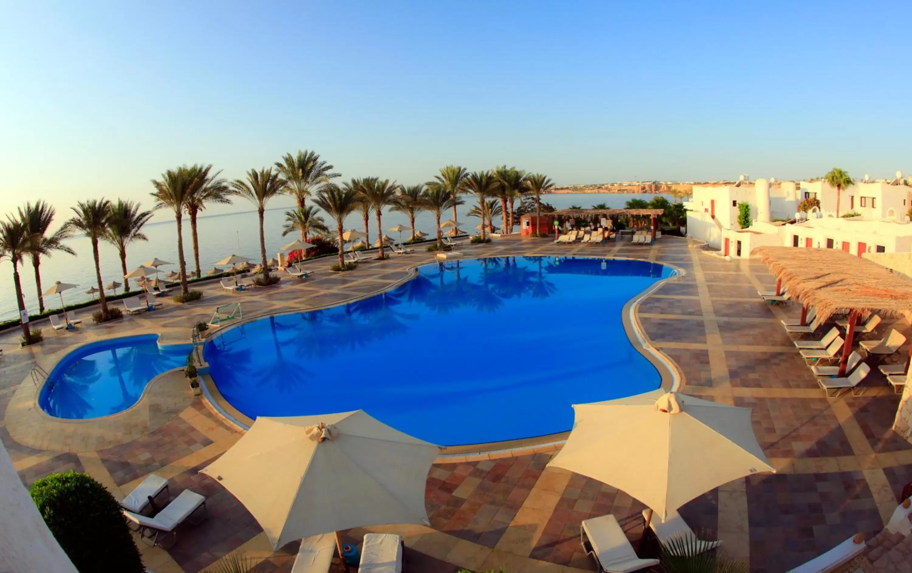 Swimming pool, Pool View in Sharm Club Beach Resort