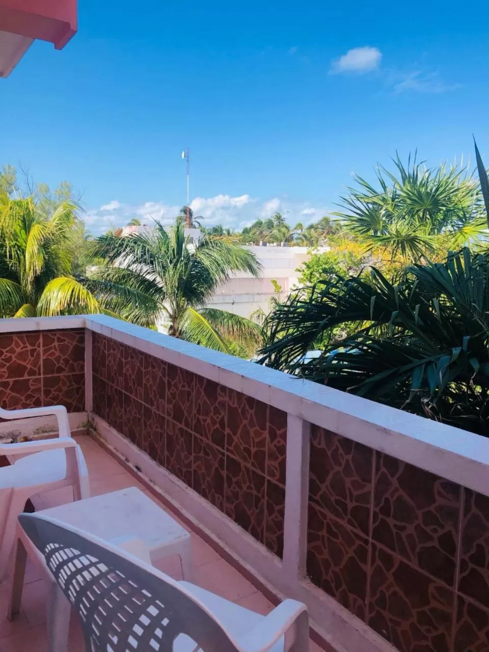 Pool View in Hotel Francis Arlene Adults Only