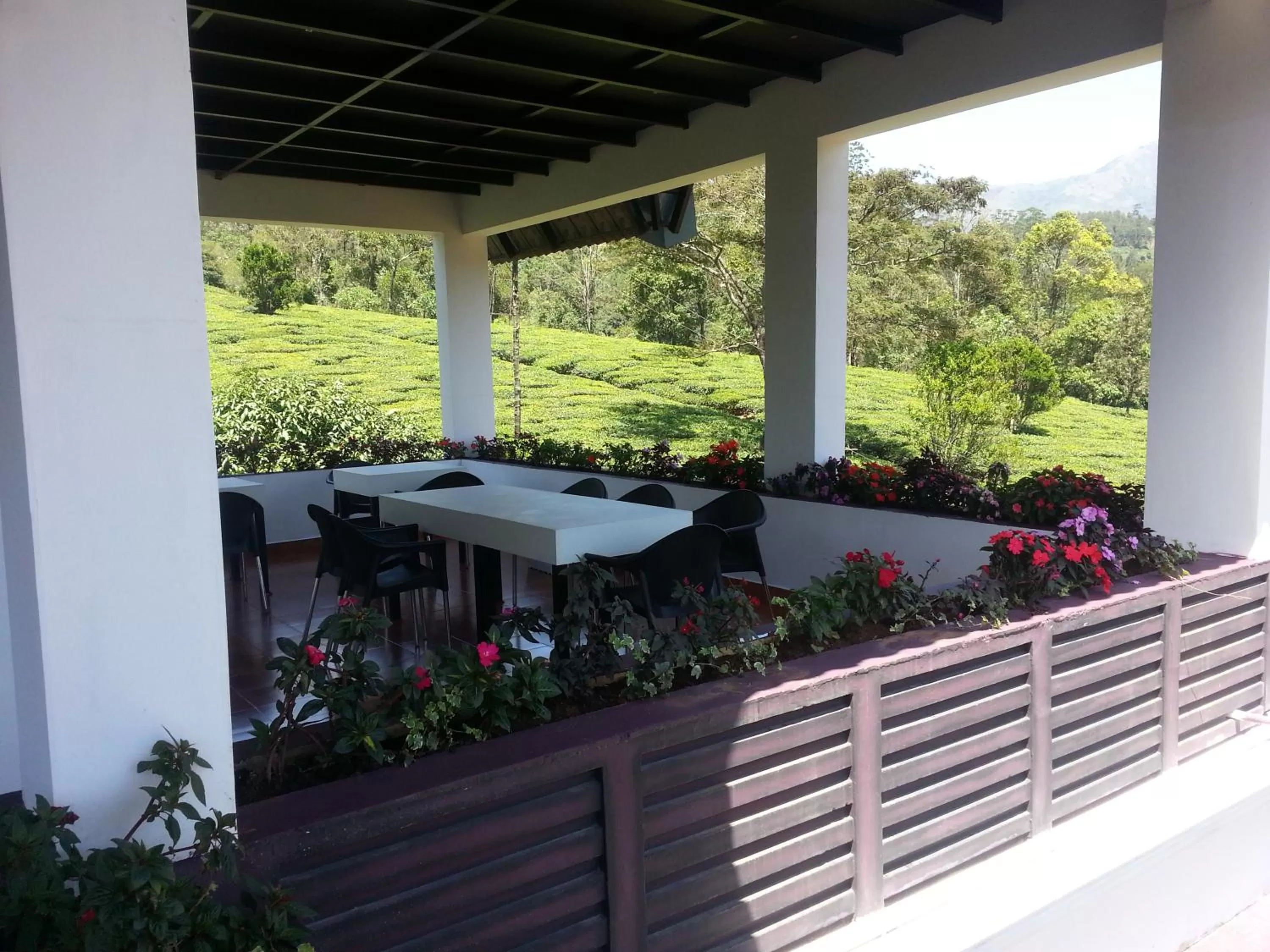 Day in Gruenberg Tea Plantation Haus