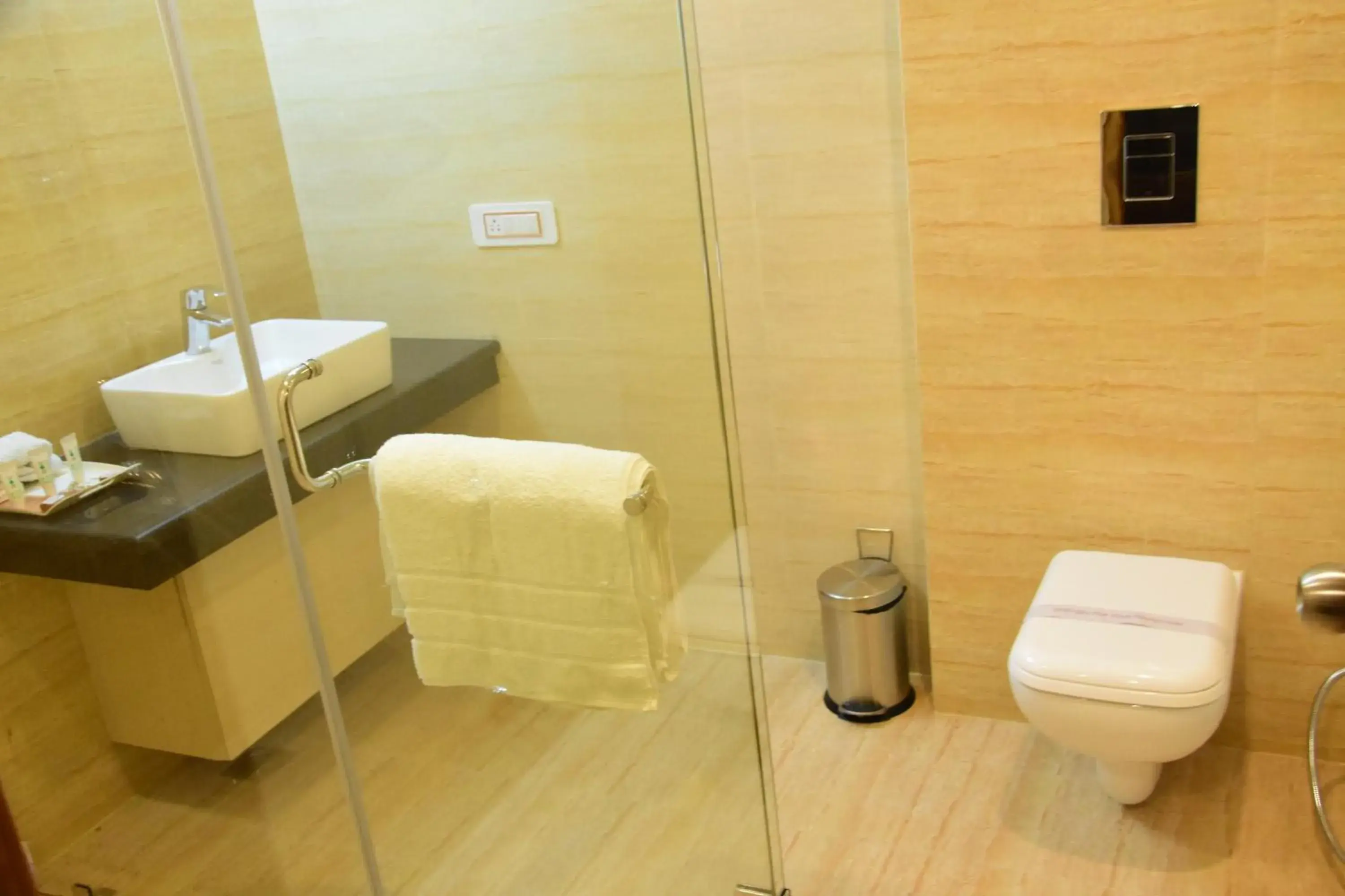 Toilet, Bathroom in Hotel Rama Trident
