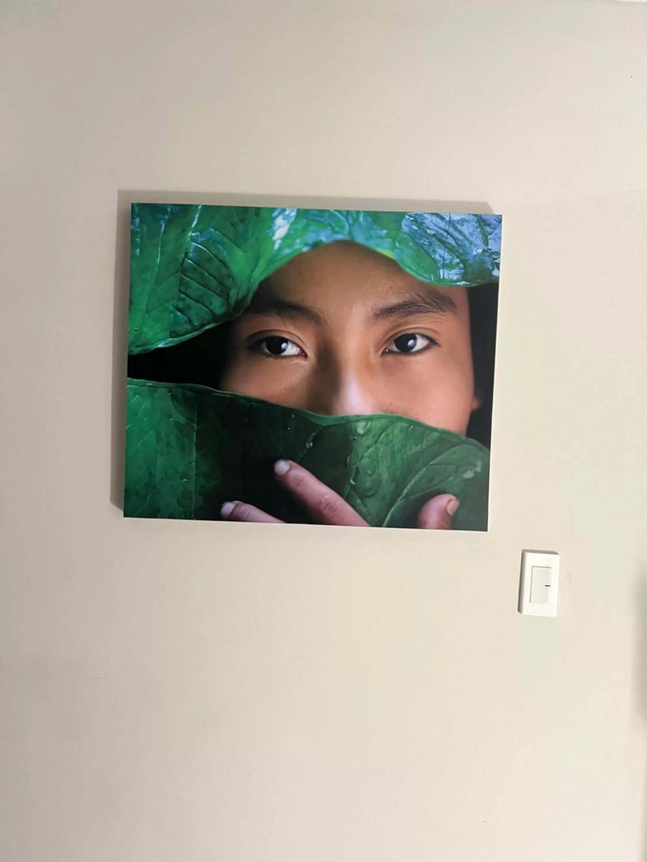 Patio in Hotel Boutique Casa chunuu Santa Marta