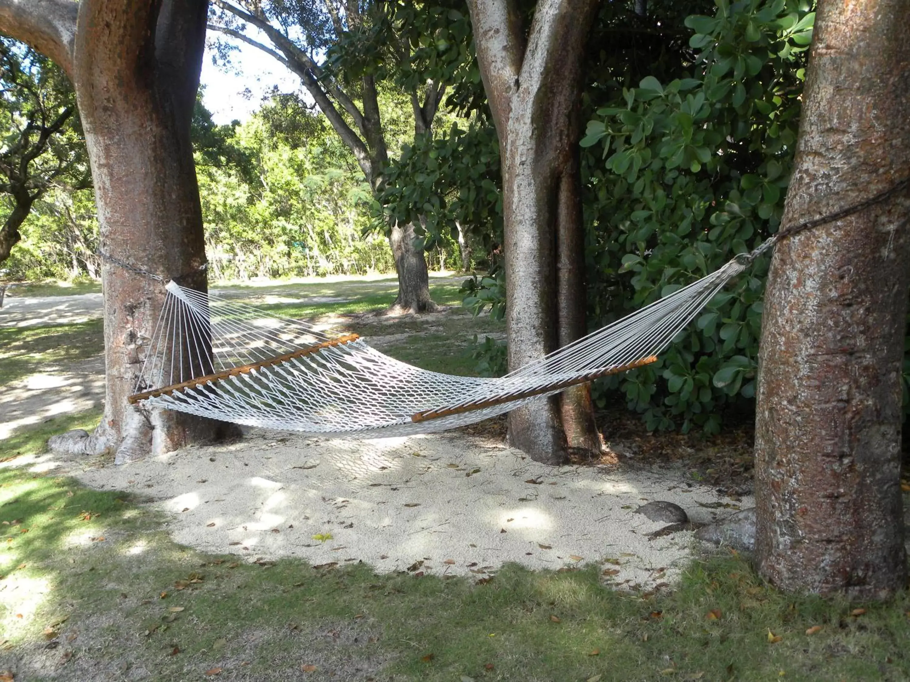 Garden view, Garden in Rock Reef Resort