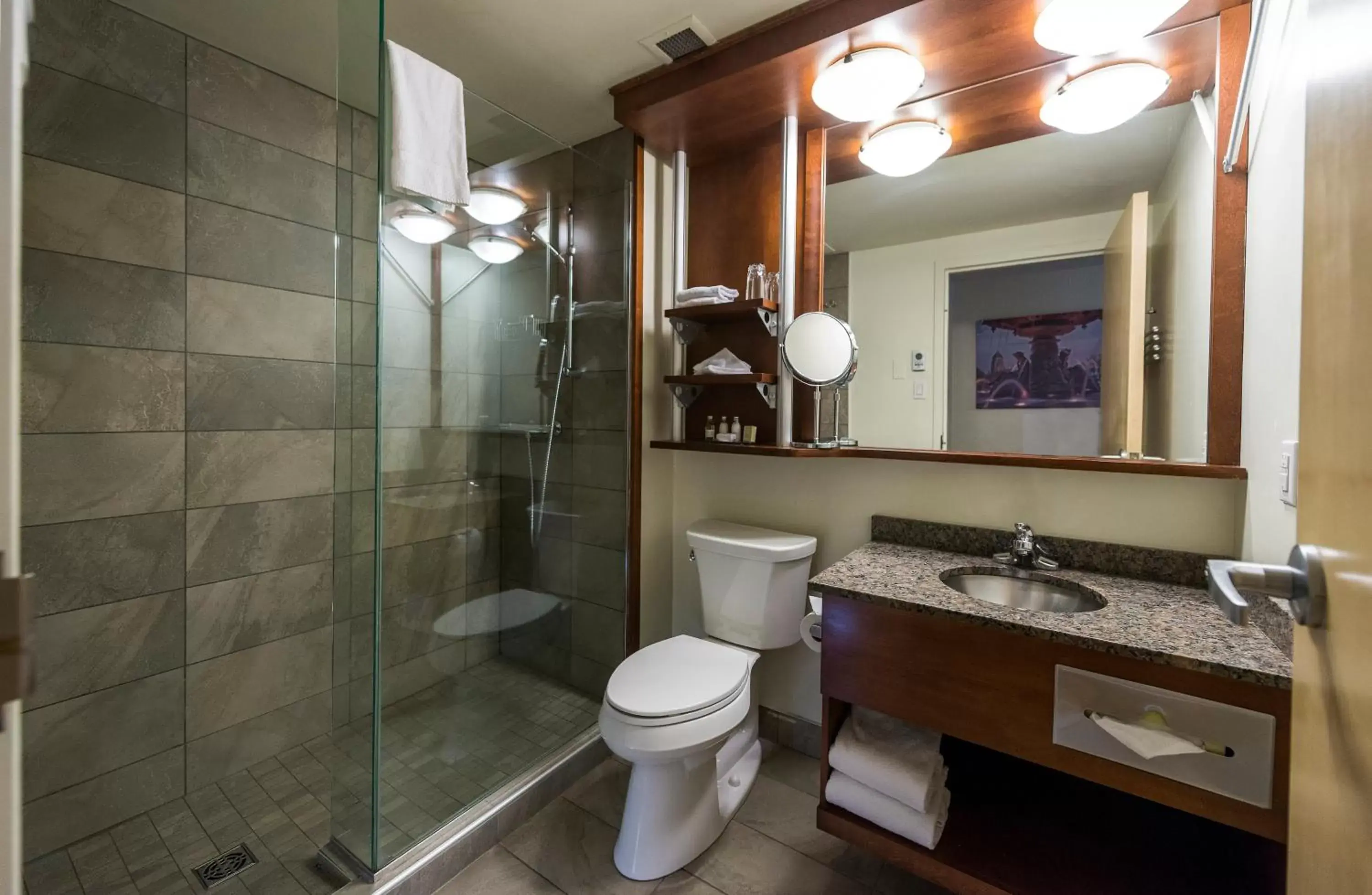 Bathroom in Hôtel & Suites Le Dauphin Québec