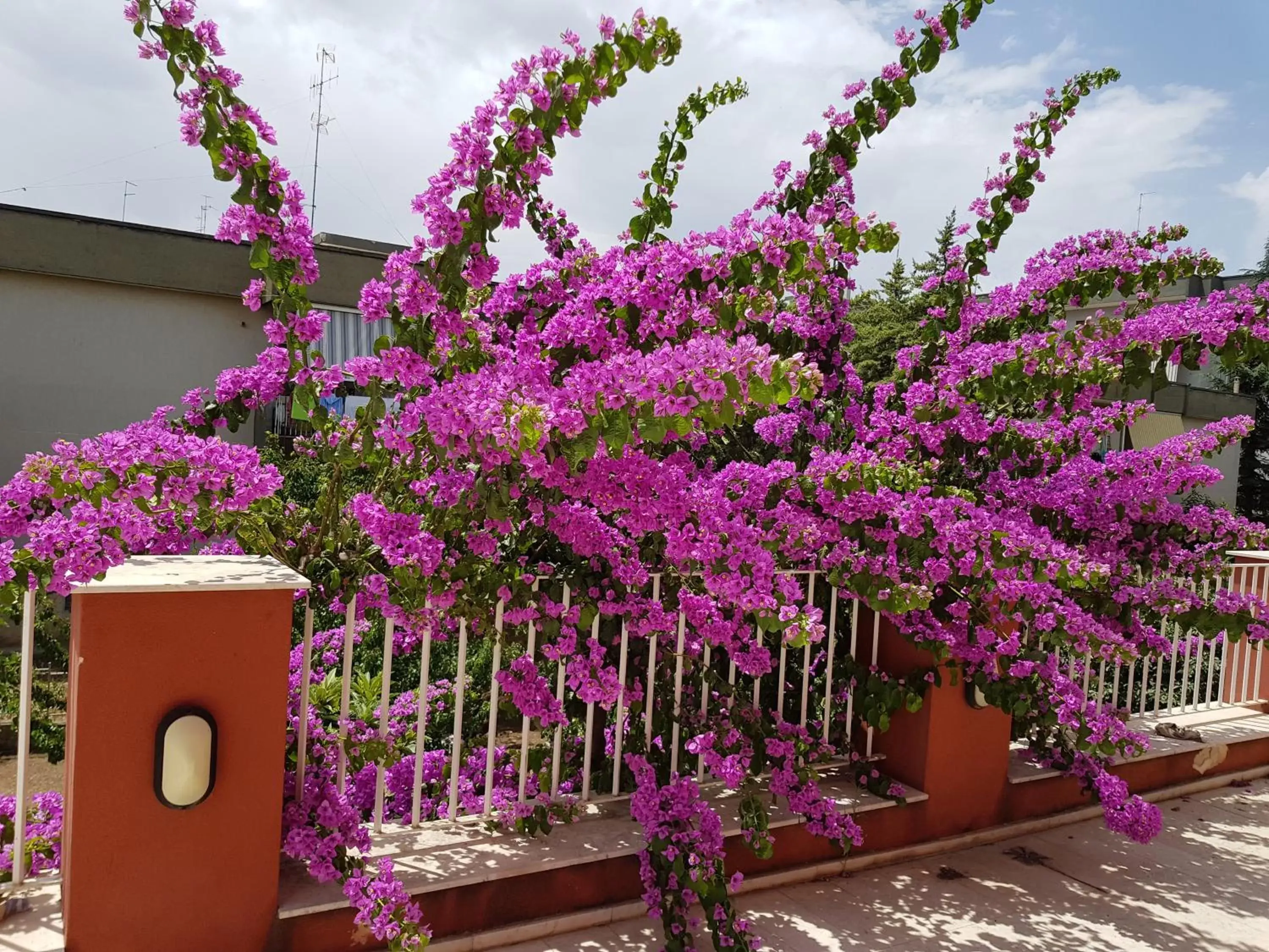 Balcony/Terrace in Dimora D'Amato