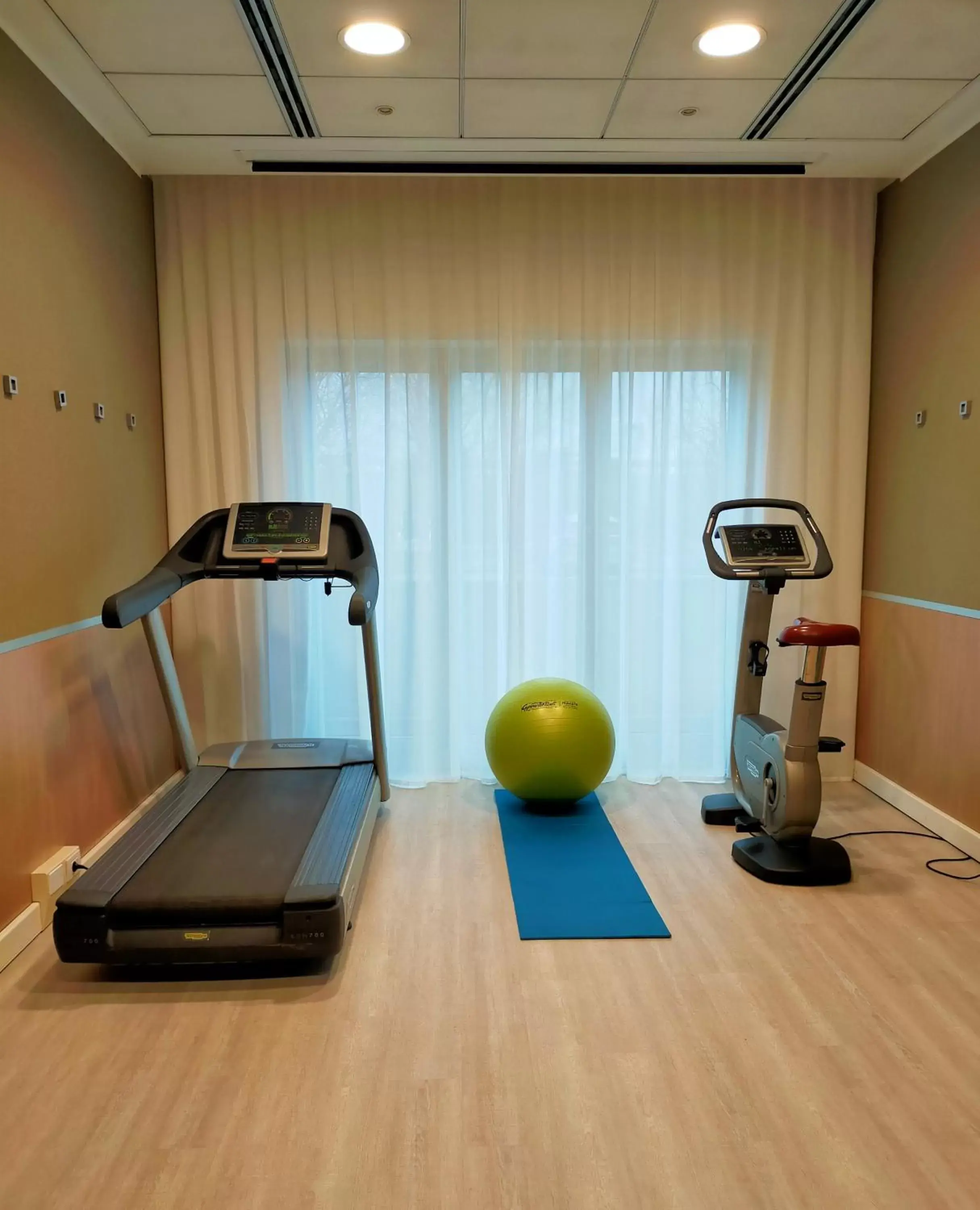 Fitness centre/facilities, Fitness Center/Facilities in The Sydney Hotel