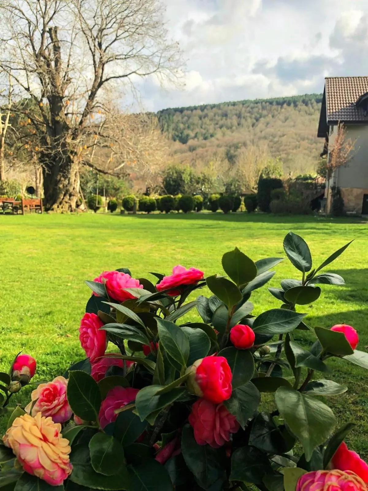 Natural landscape in Villa Kirkpinar Sapanca