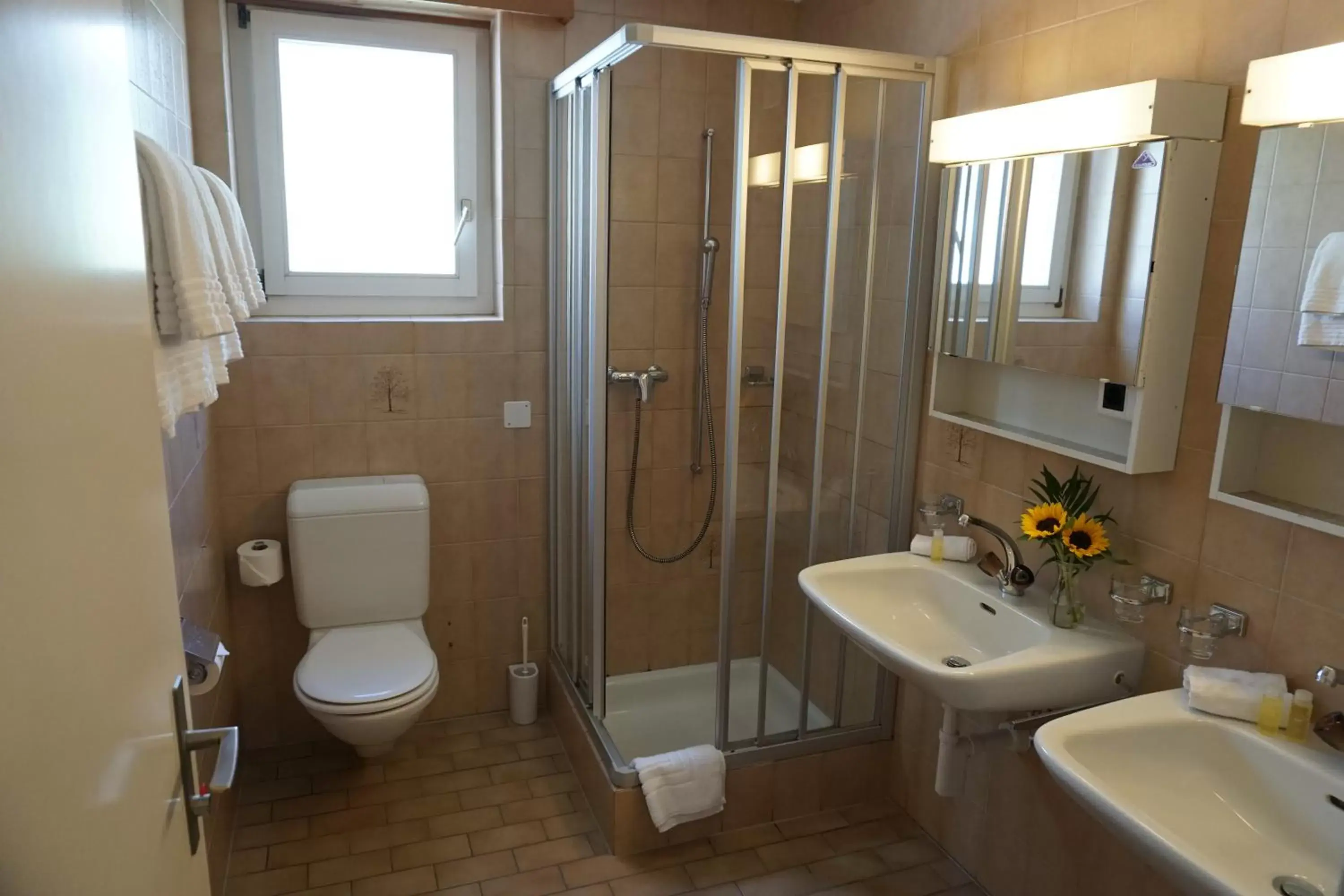 Shower, Bathroom in Spenglers Inn
