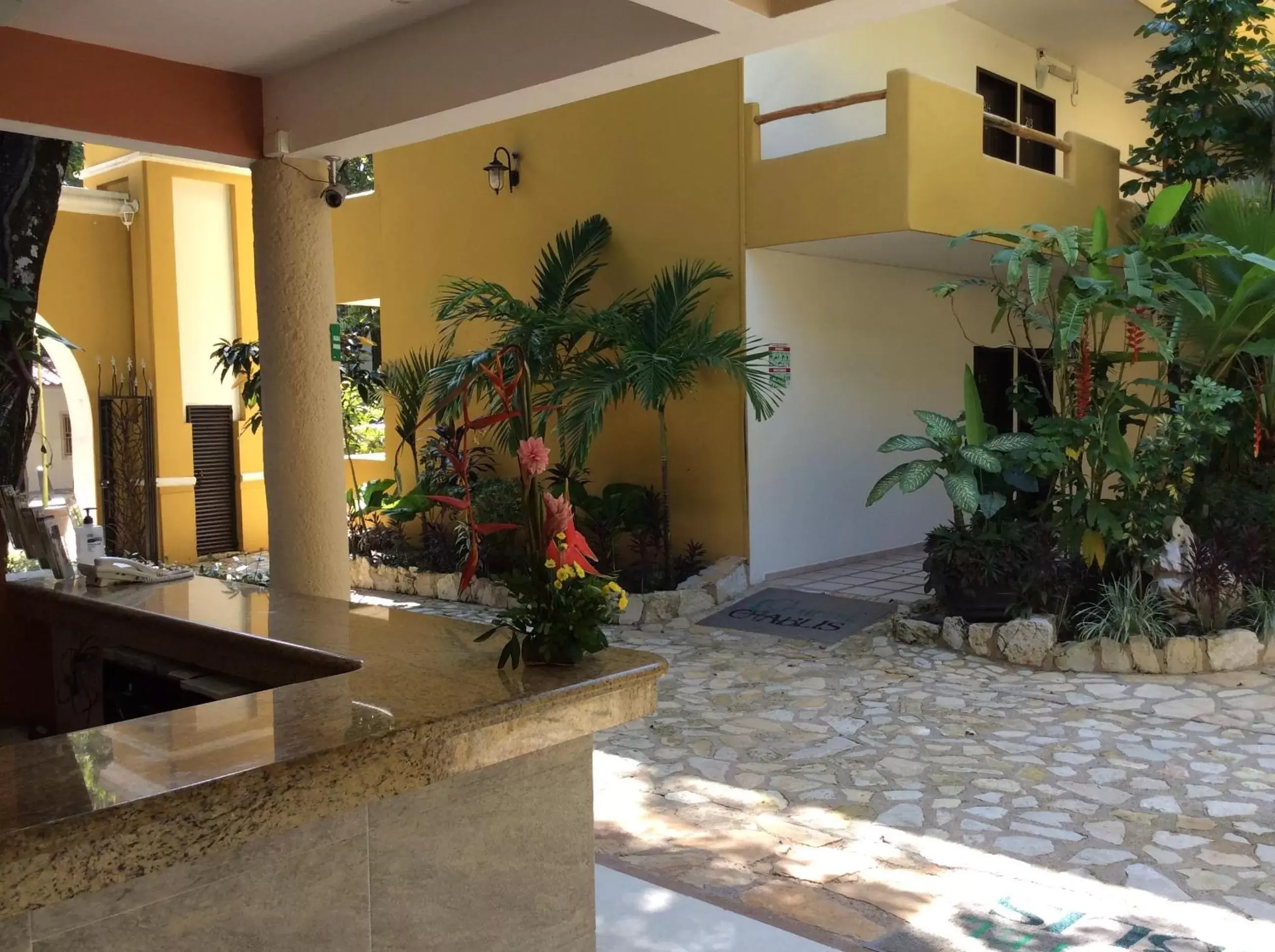 Lobby or reception in Hotel Chablis Palenque