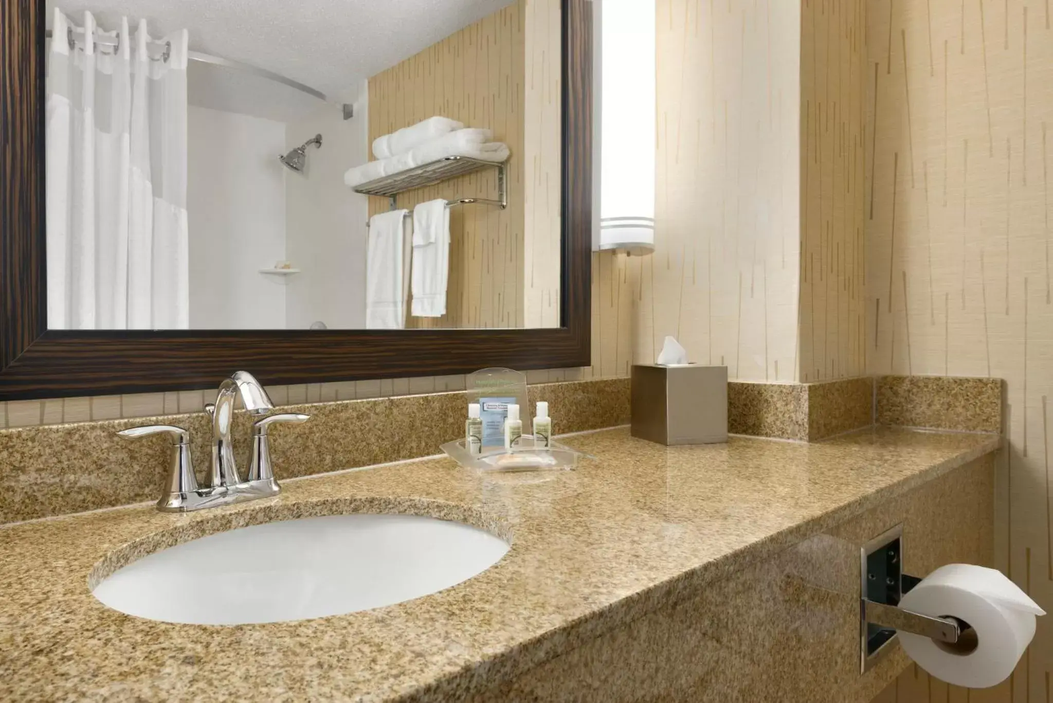 Photo of the whole room, Bathroom in Holiday Inn & Suites Duluth-Downtown, an IHG Hotel