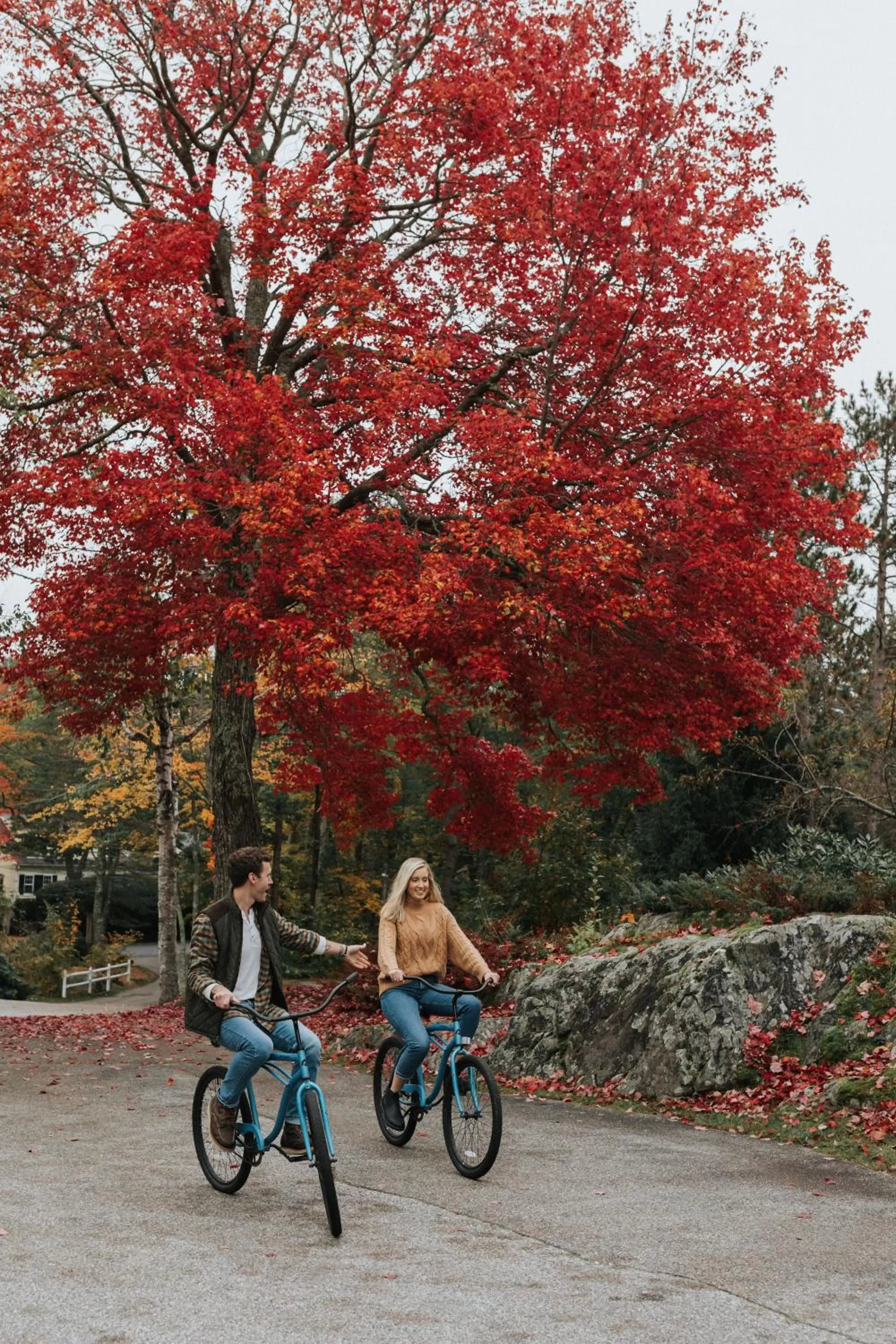 Day in The Lodge on the Cove