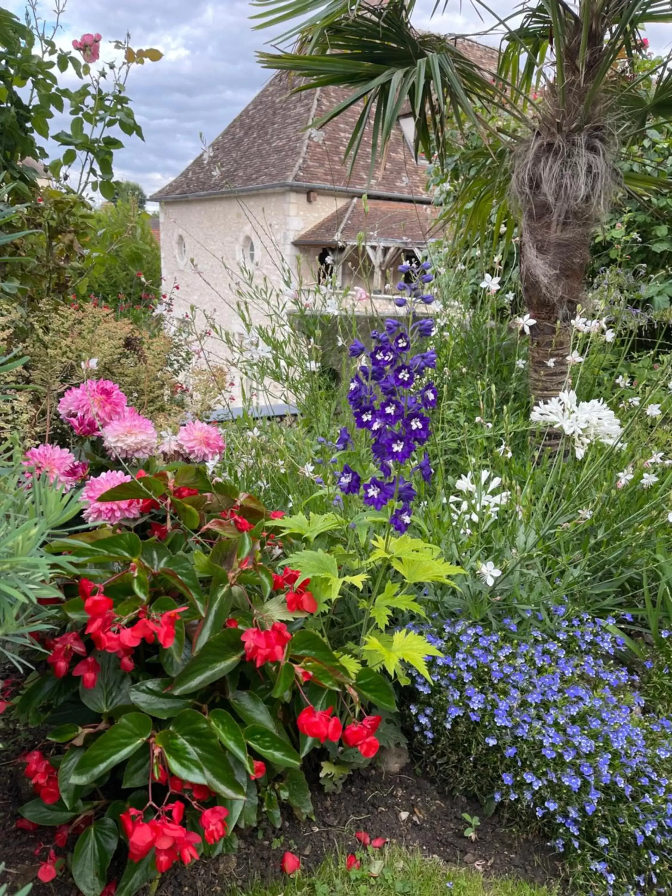 Garden view, Garden in Demeure des Vieux Bains