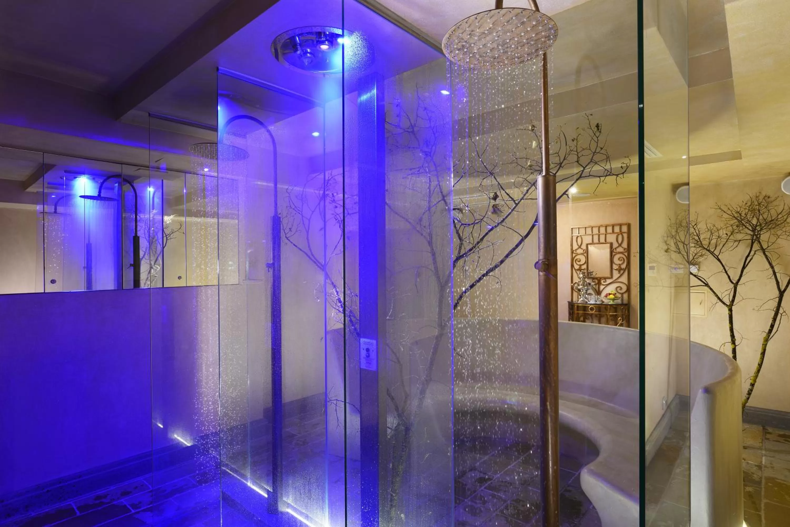 Spa and wellness centre/facilities in Ville Sull'Arno