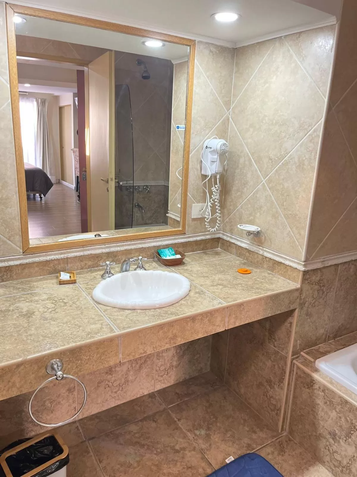 Shower in Hotel ATEPSA