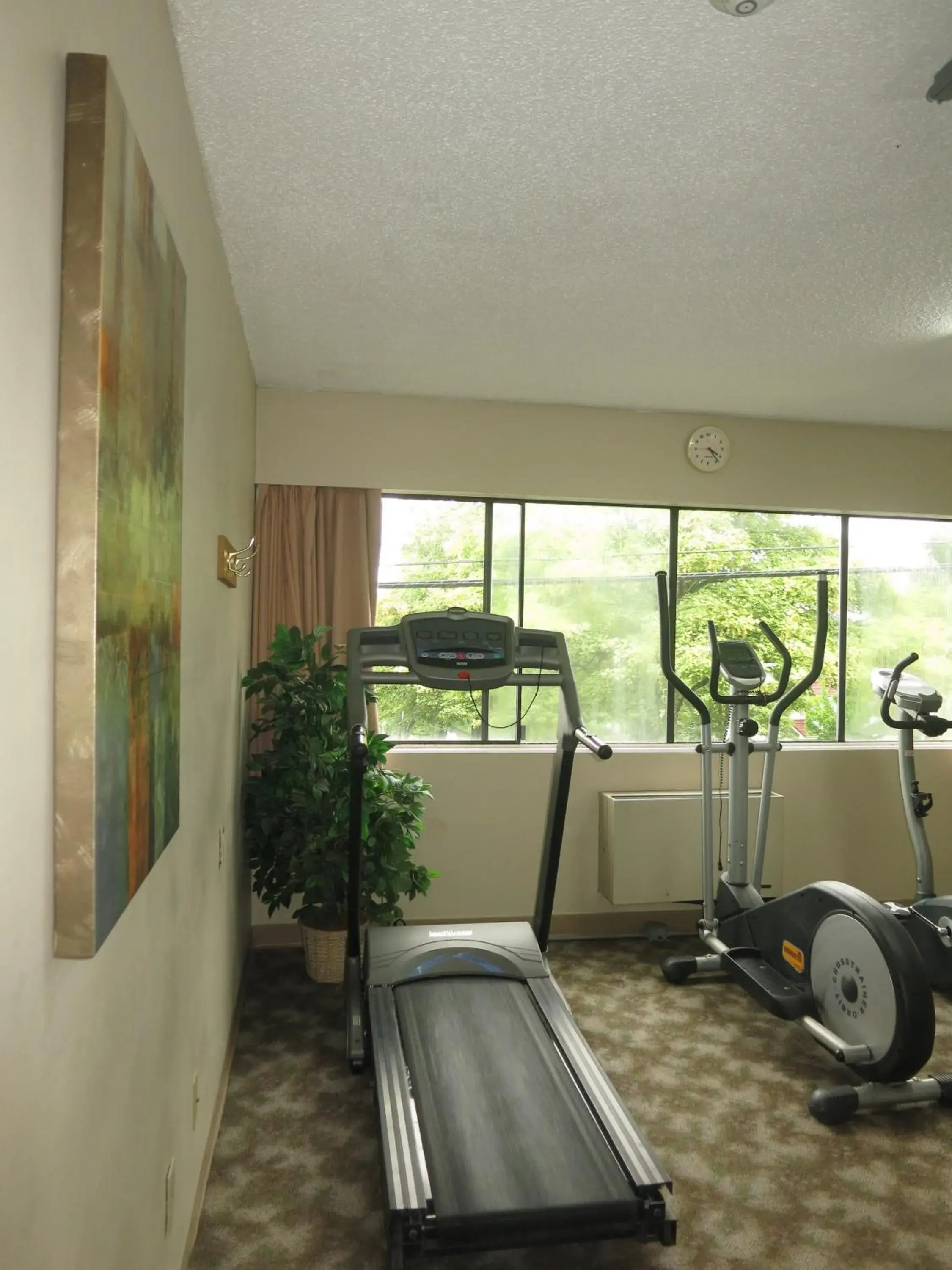 Fitness centre/facilities, Fitness Center/Facilities in Cassandra Hotel
