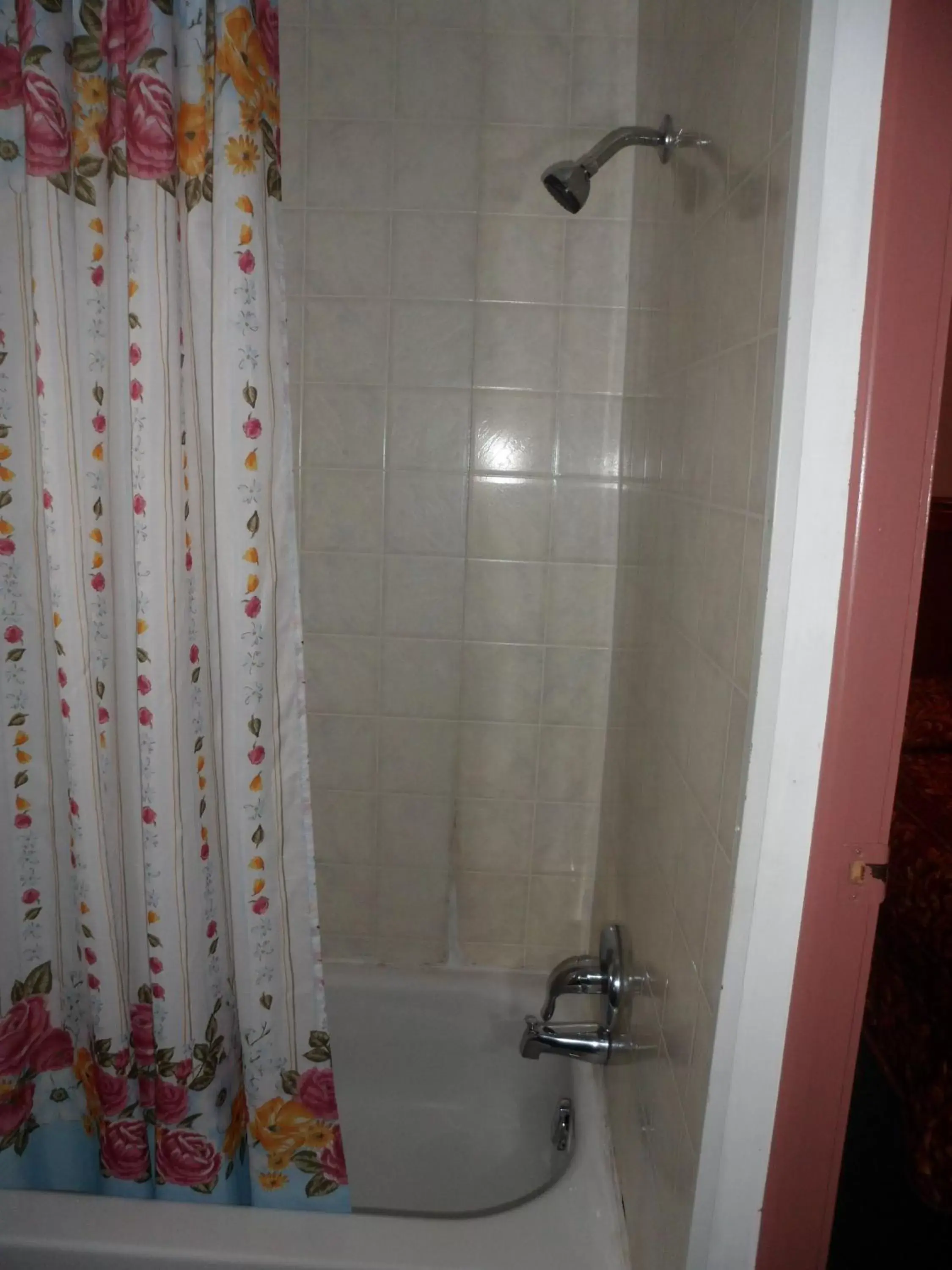 Shower, Bathroom in The Silver Birch Motel