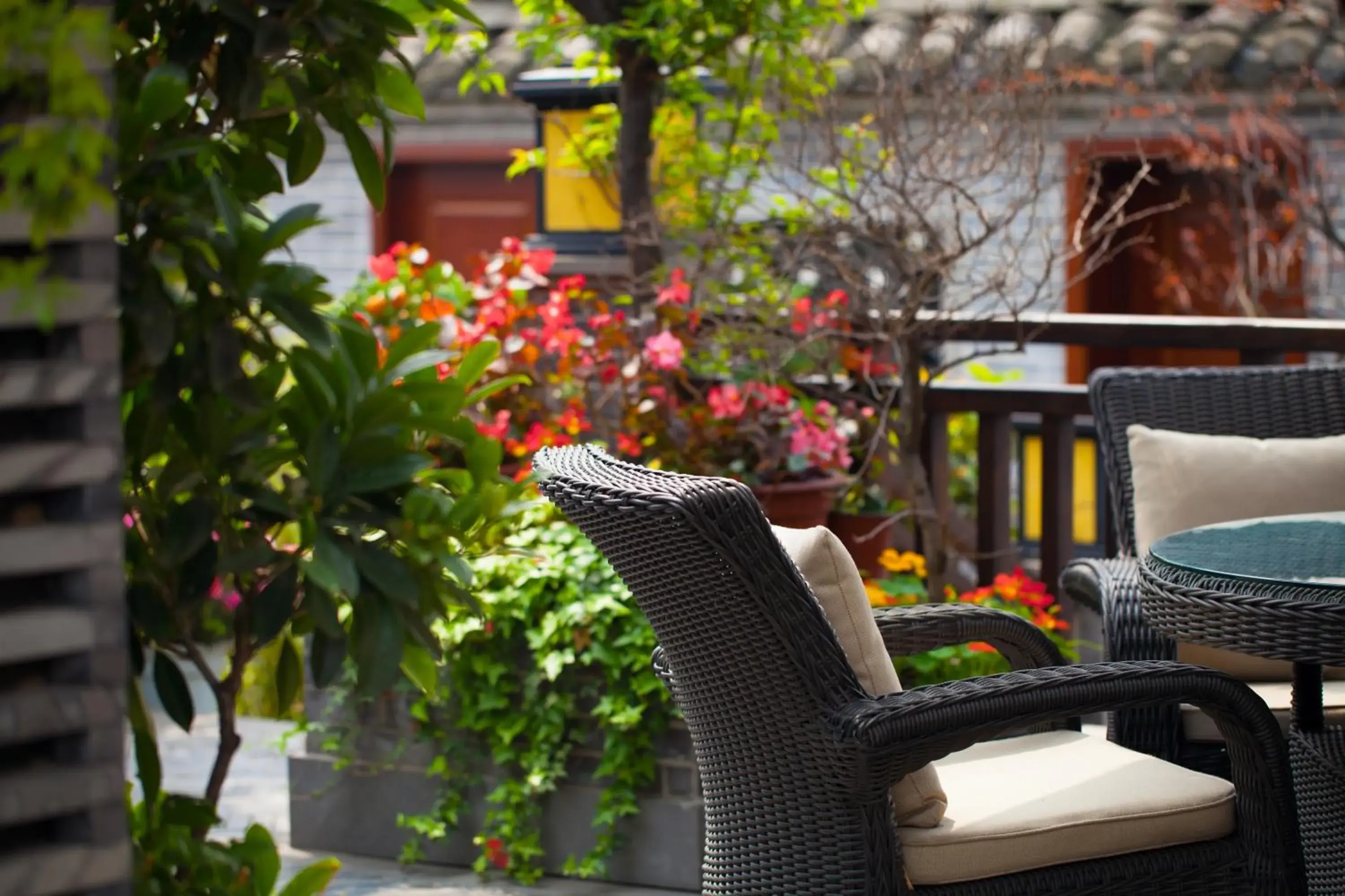 Garden, Patio/Outdoor Area in Buddhazen Hotel