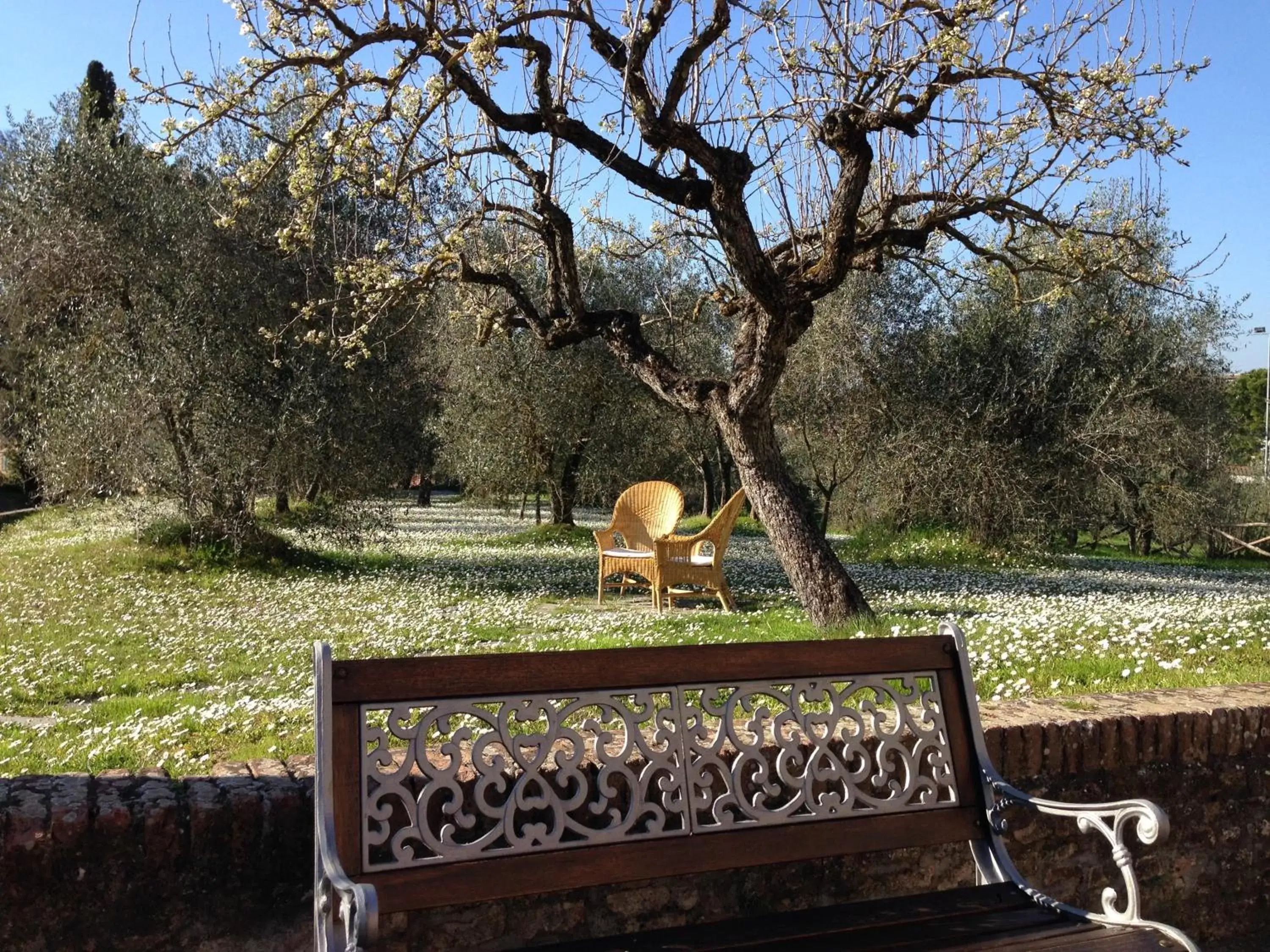 Garden in Hotel Palazzo di Valli