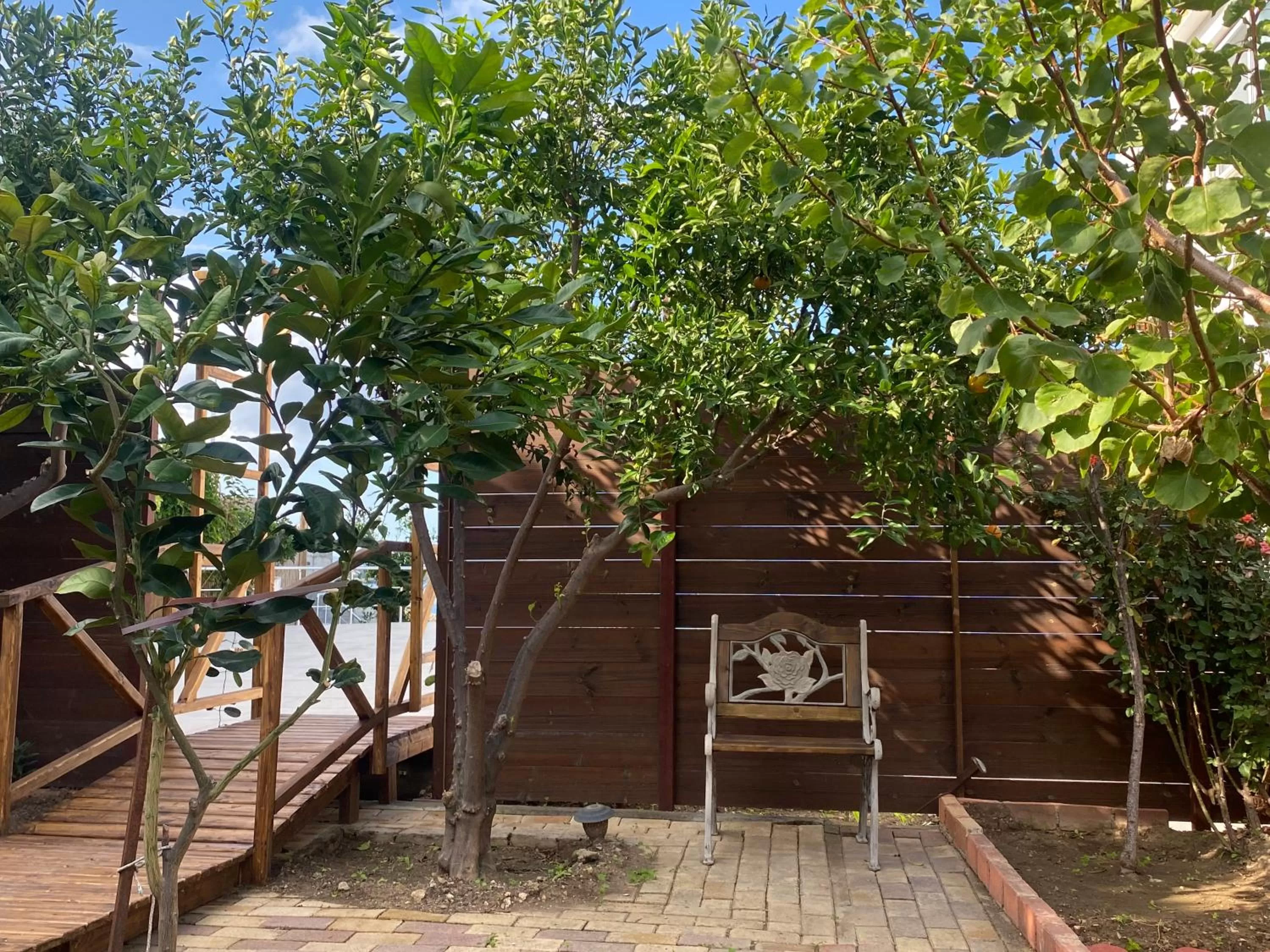 Garden in Sunside Inn Hotel