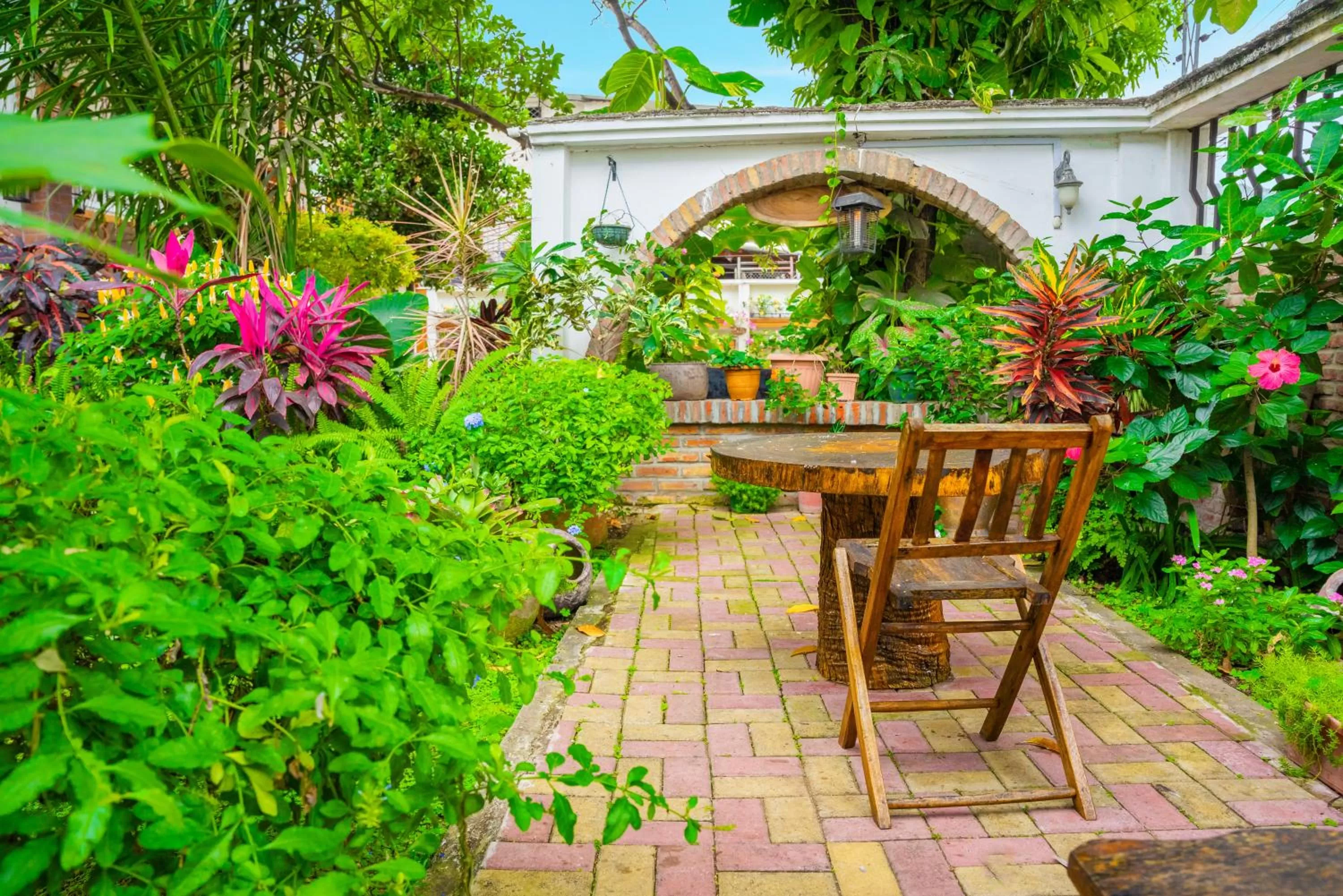 Garden in Hotel Boutique Platanal