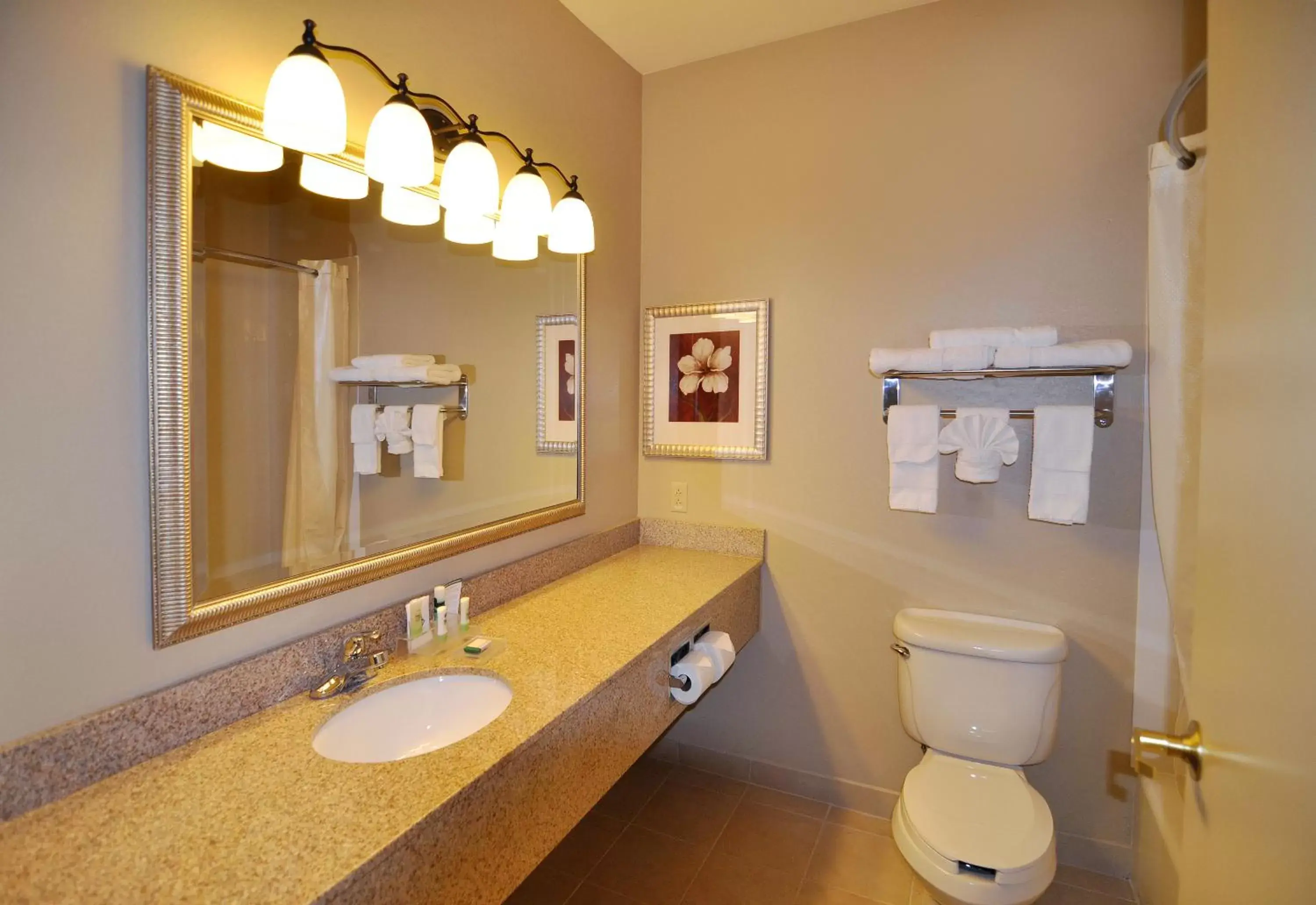 Toilet, Bathroom in Country Inn & Suites by Radisson, Conway, AR