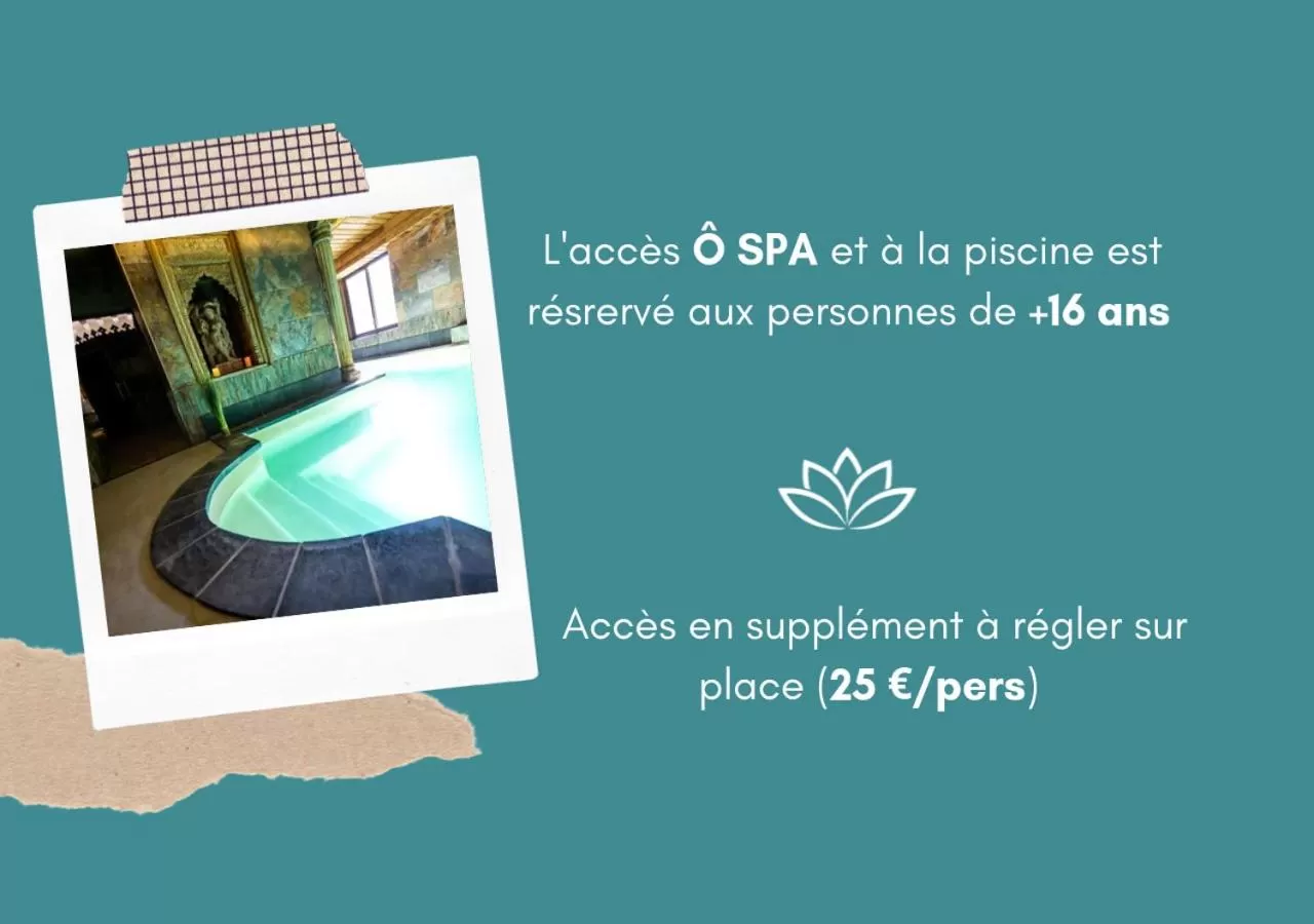 Spa and wellness centre/facilities in Hotel et Spa Le Lion d'Or