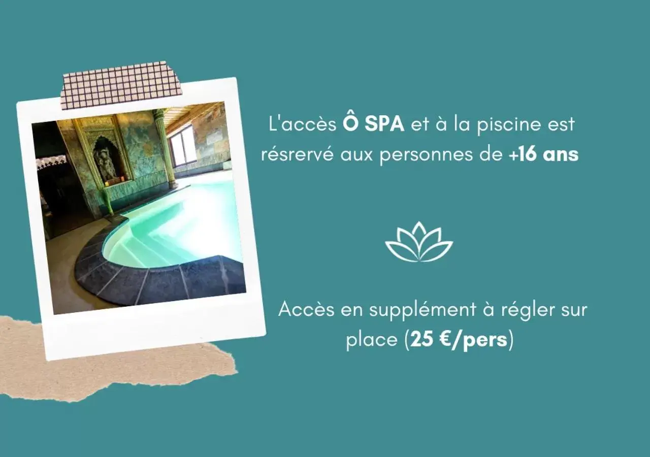 Spa and wellness centre/facilities, Pool View in Hotel et Spa Le Lion d'Or