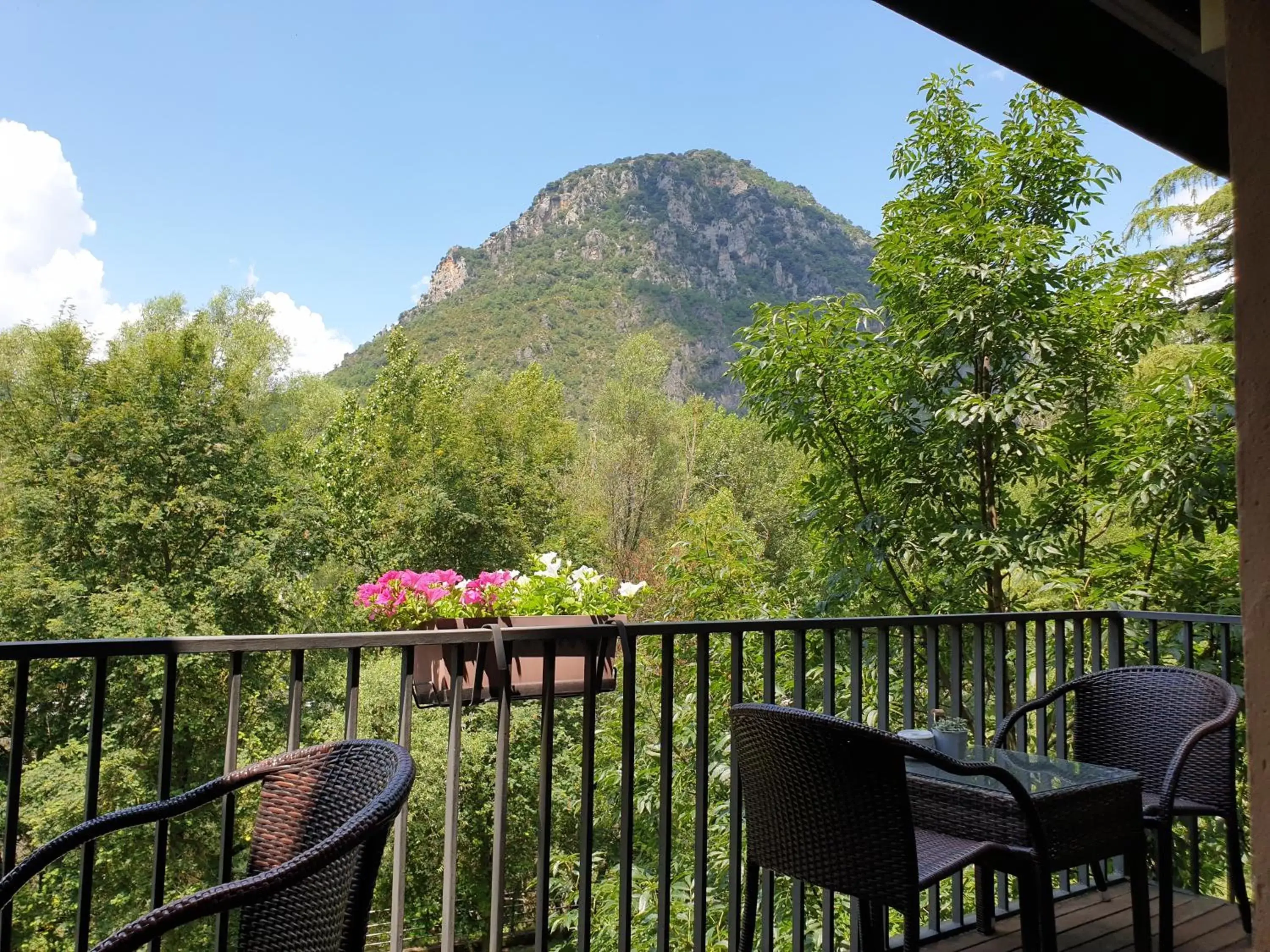 Garden, Patio/Outdoor Area in Hotel Cotori