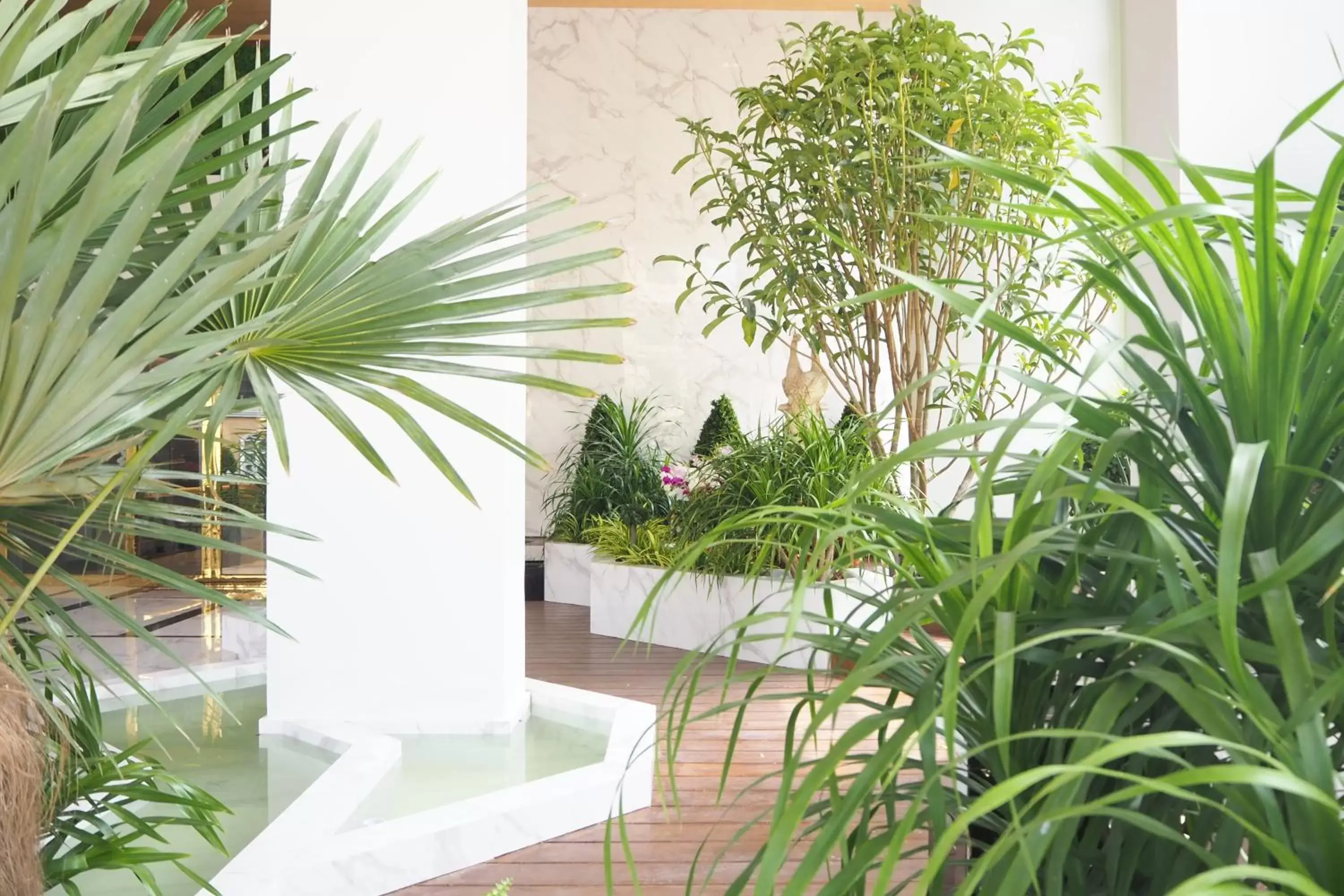 Property building in SN Connx - SHA Plus Property building in SN Connx - SHA Plus