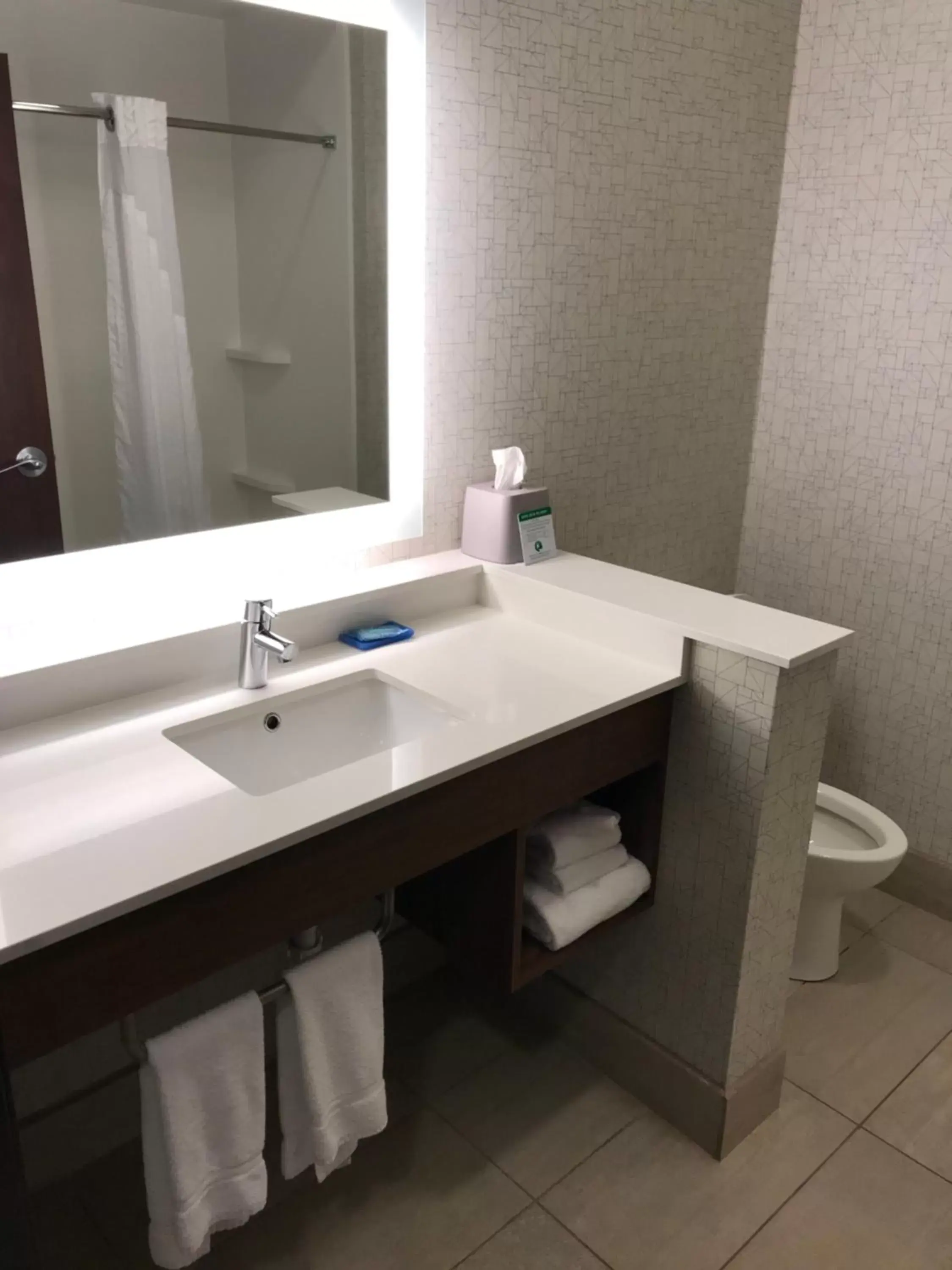 Bathroom in Holiday Inn Express & Suites - Pittsburgh - Monroeville, an IHG Hotel