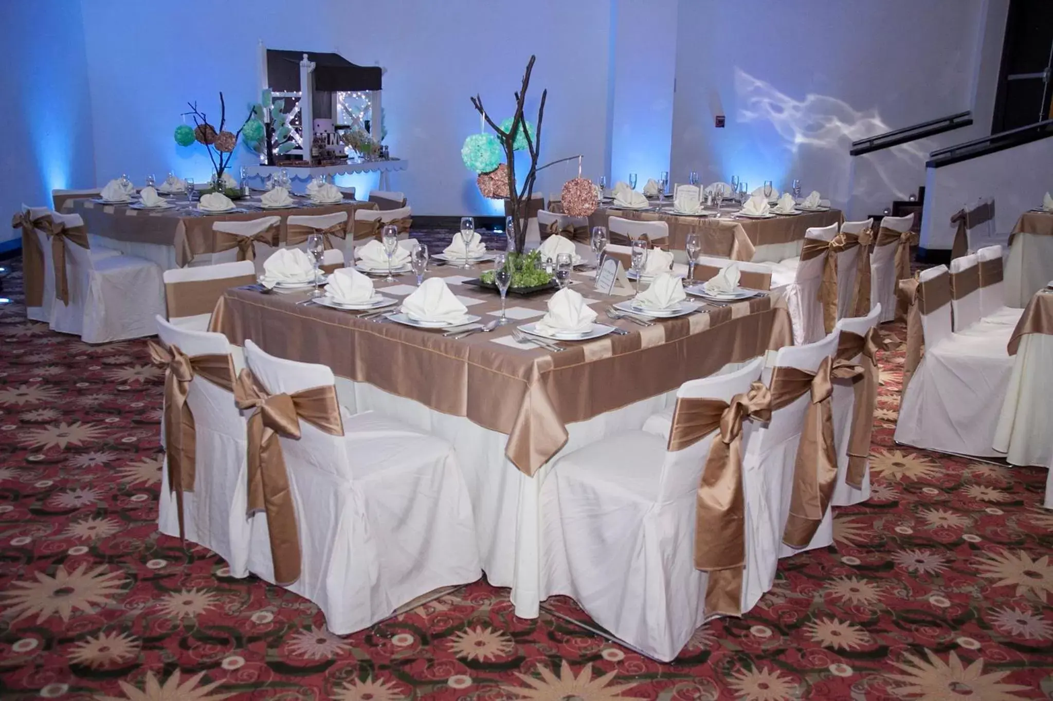 Meeting/conference room, Banquet Facilities in Holiday Inn Tuxtla Gutierrez, an IHG Hotel