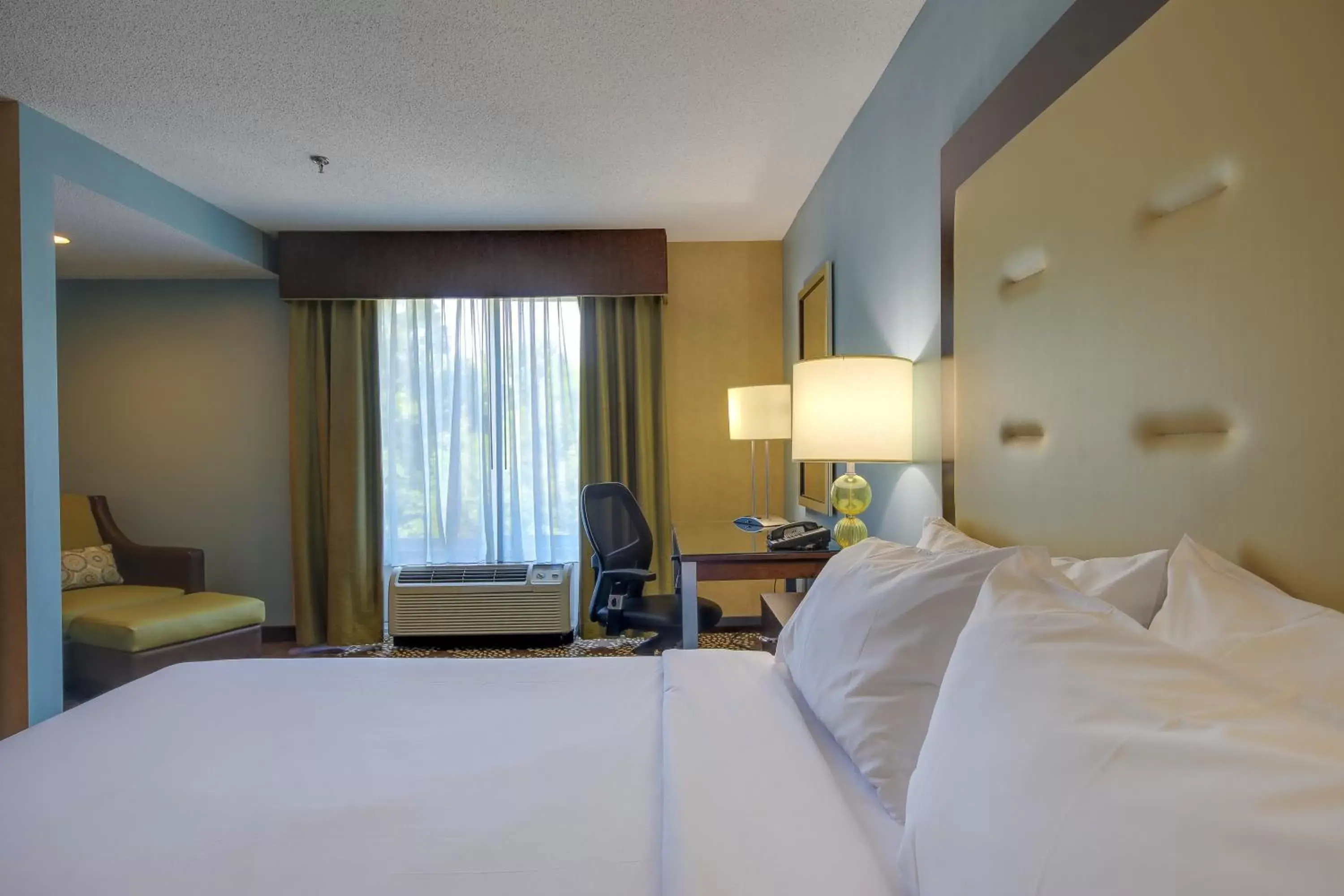 Photo of the whole room, Bed in Holiday Inn Express & Suites Sylva / Dillsboro, an IHG Hotel