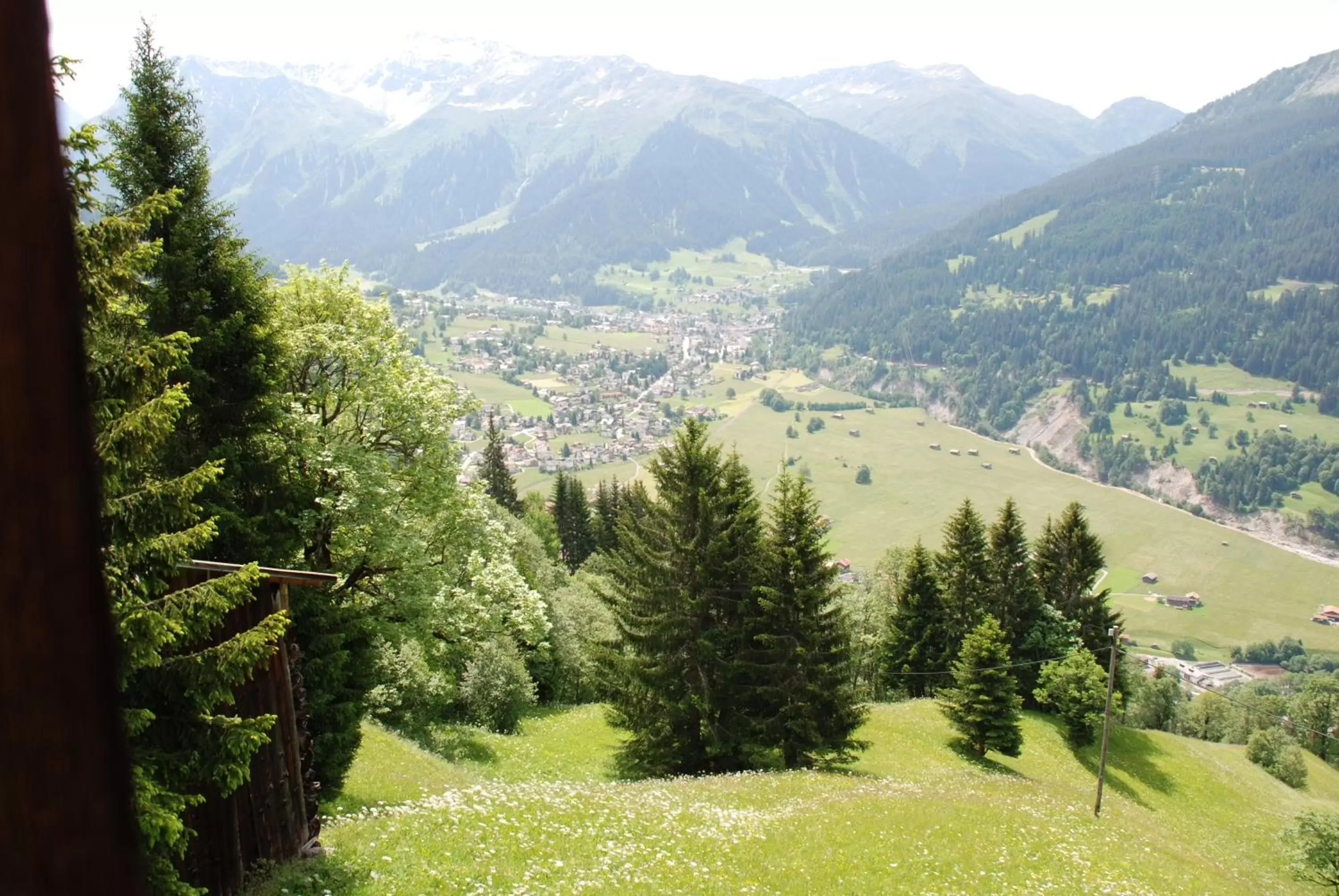 Natural landscape in Hotel Silvapina