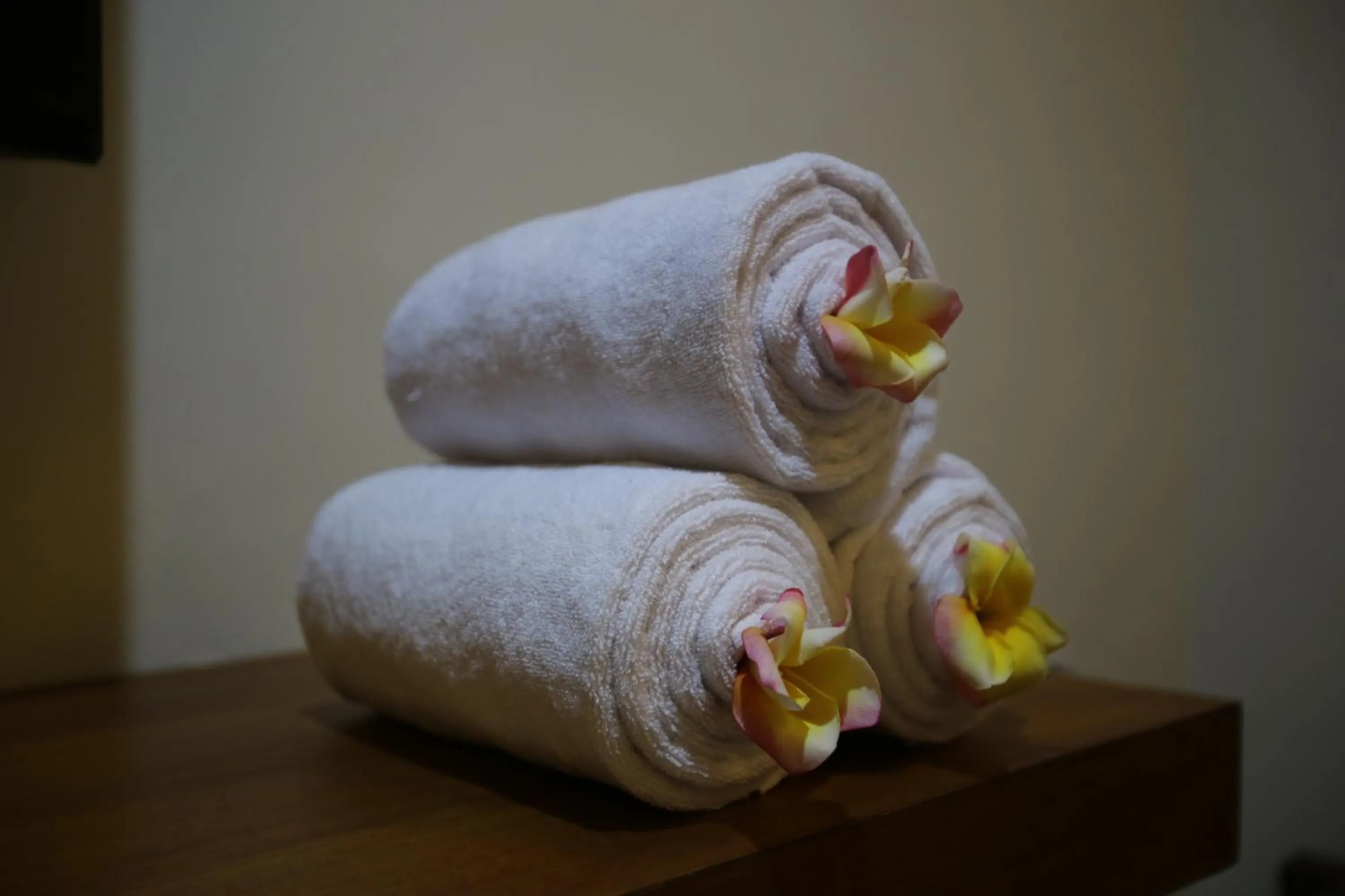 Other in Rai House Sanur