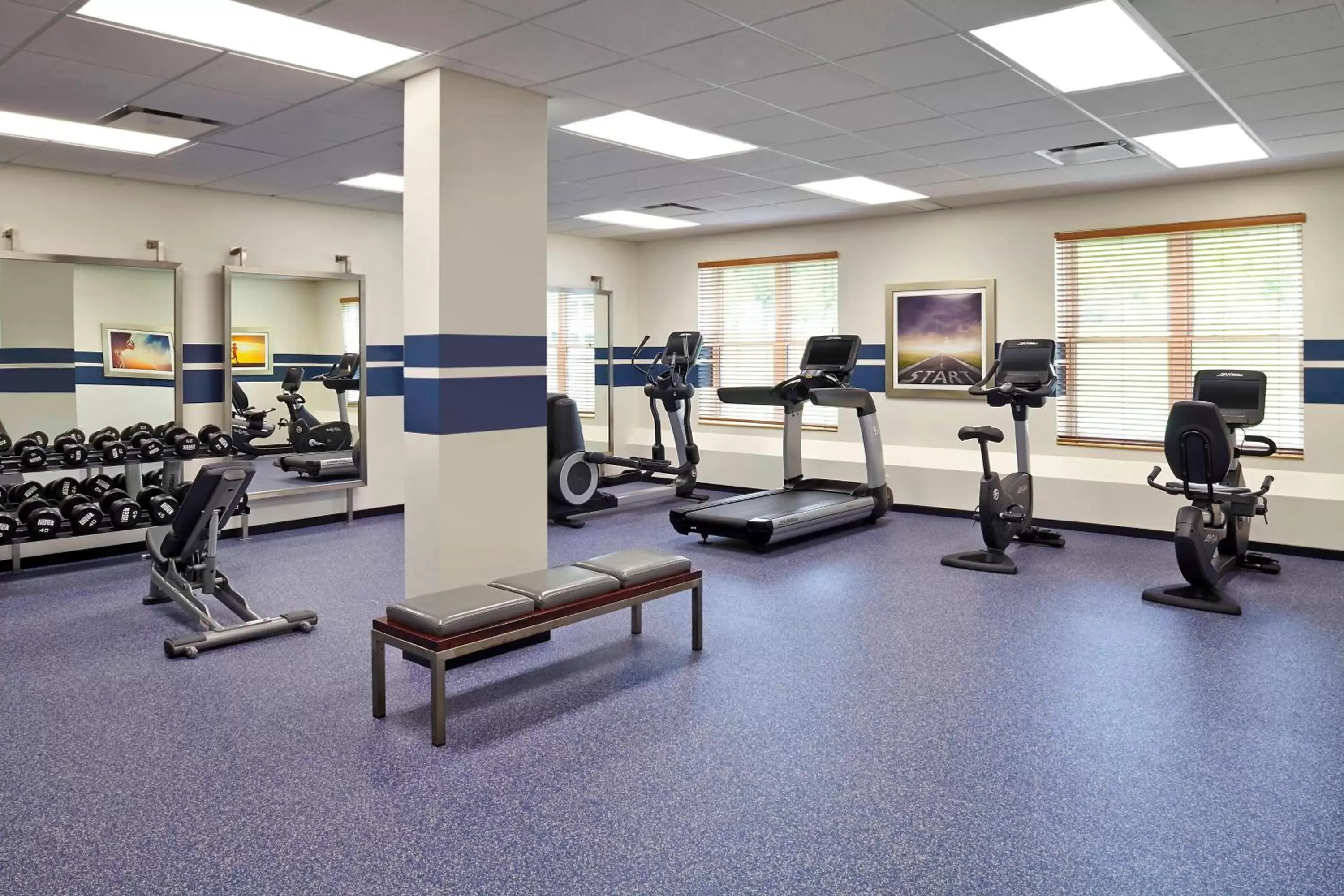 Fitness centre/facilities, Fitness Center/Facilities in Four Points by Sheraton Moncton