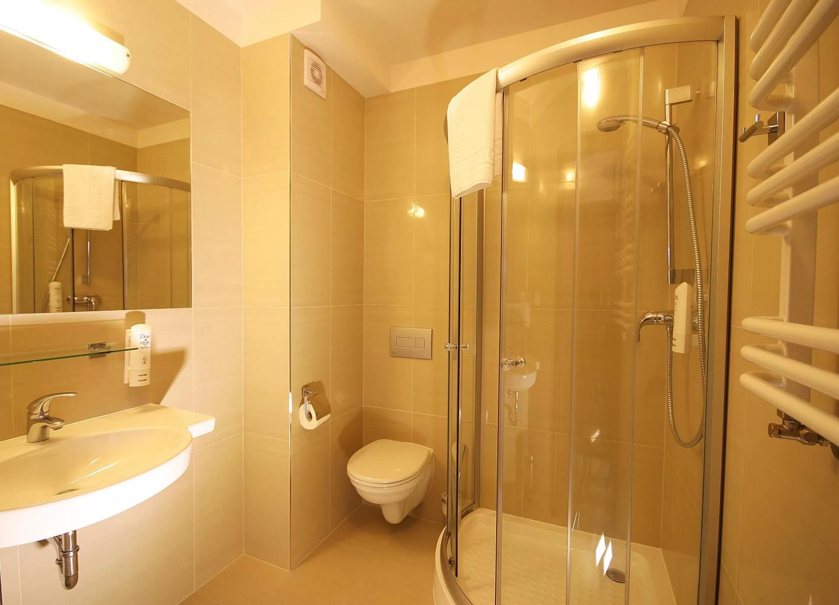 Shower in Hotel Moran & SPA