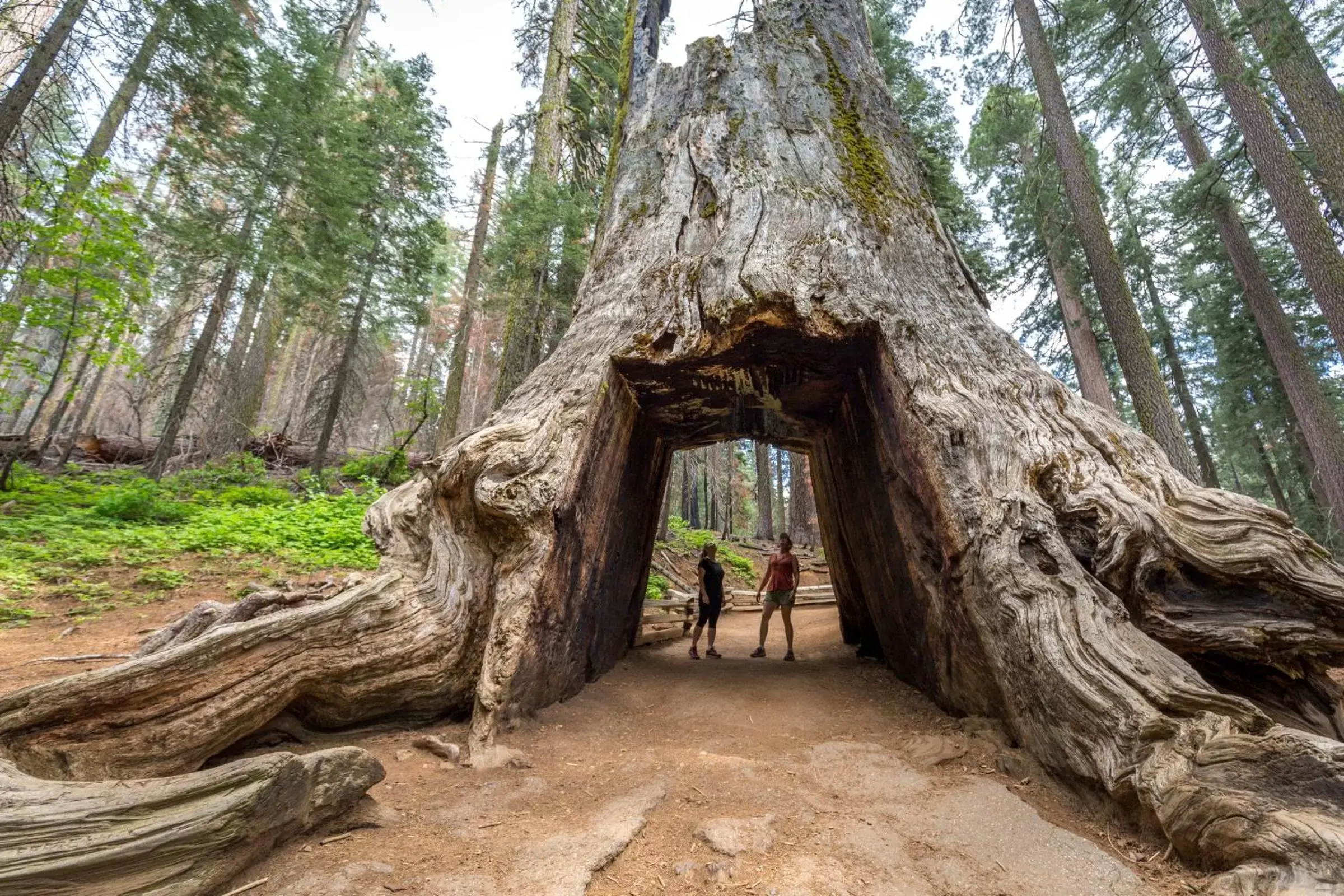 Nearby landmark in Rush Creek Lodge at Yosemite